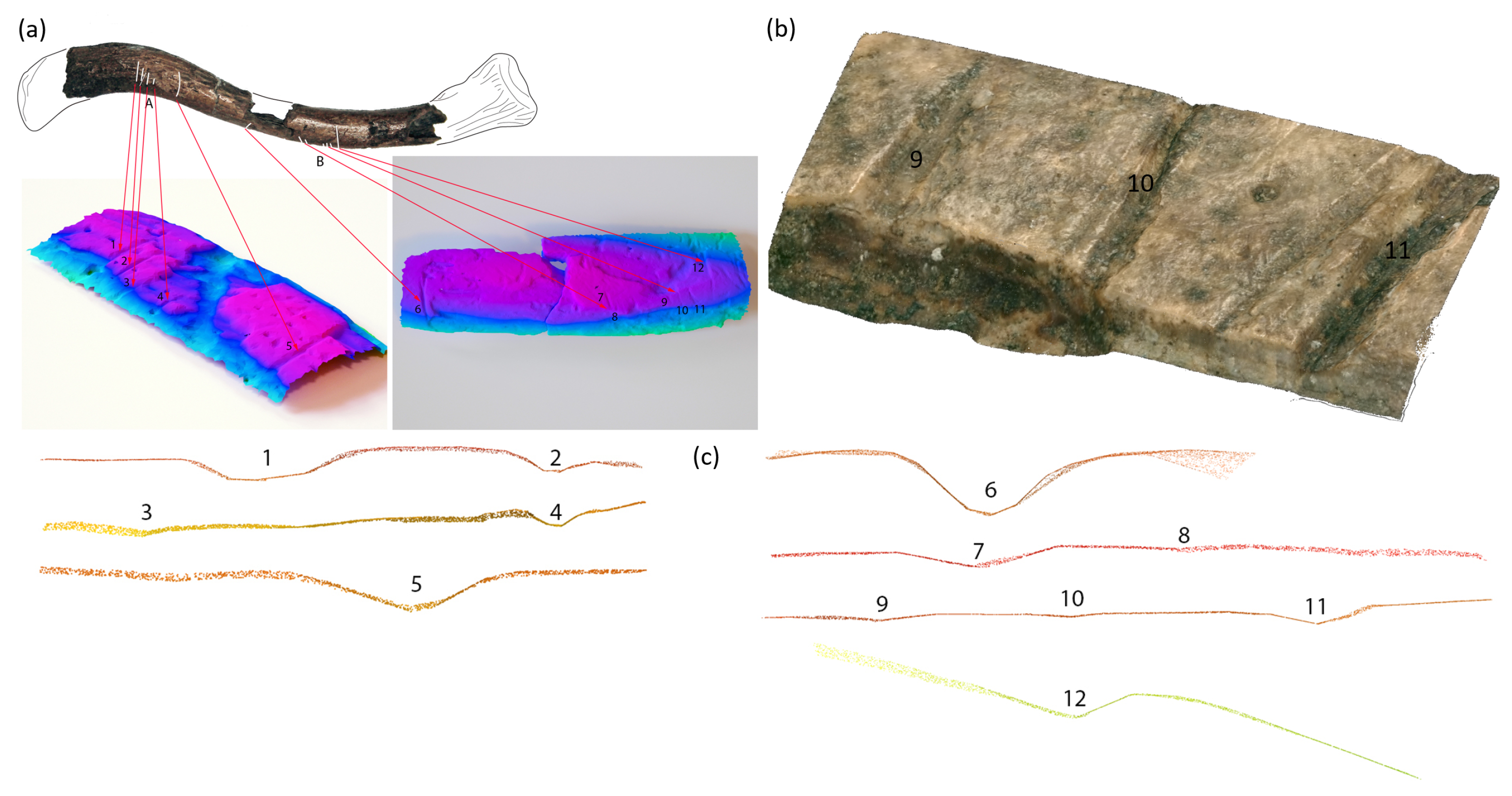 Applsci 12 01381 g011 Applsci 12 01381 g011