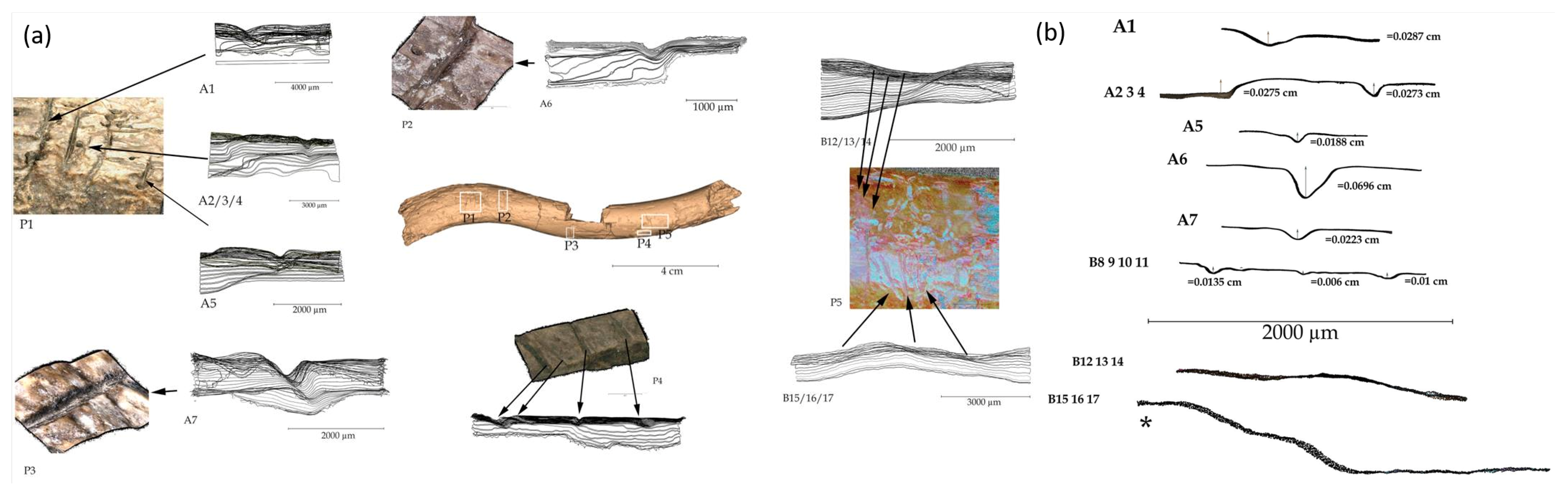 Applsci 12 01381 g012 Applsci 12 01381 g012