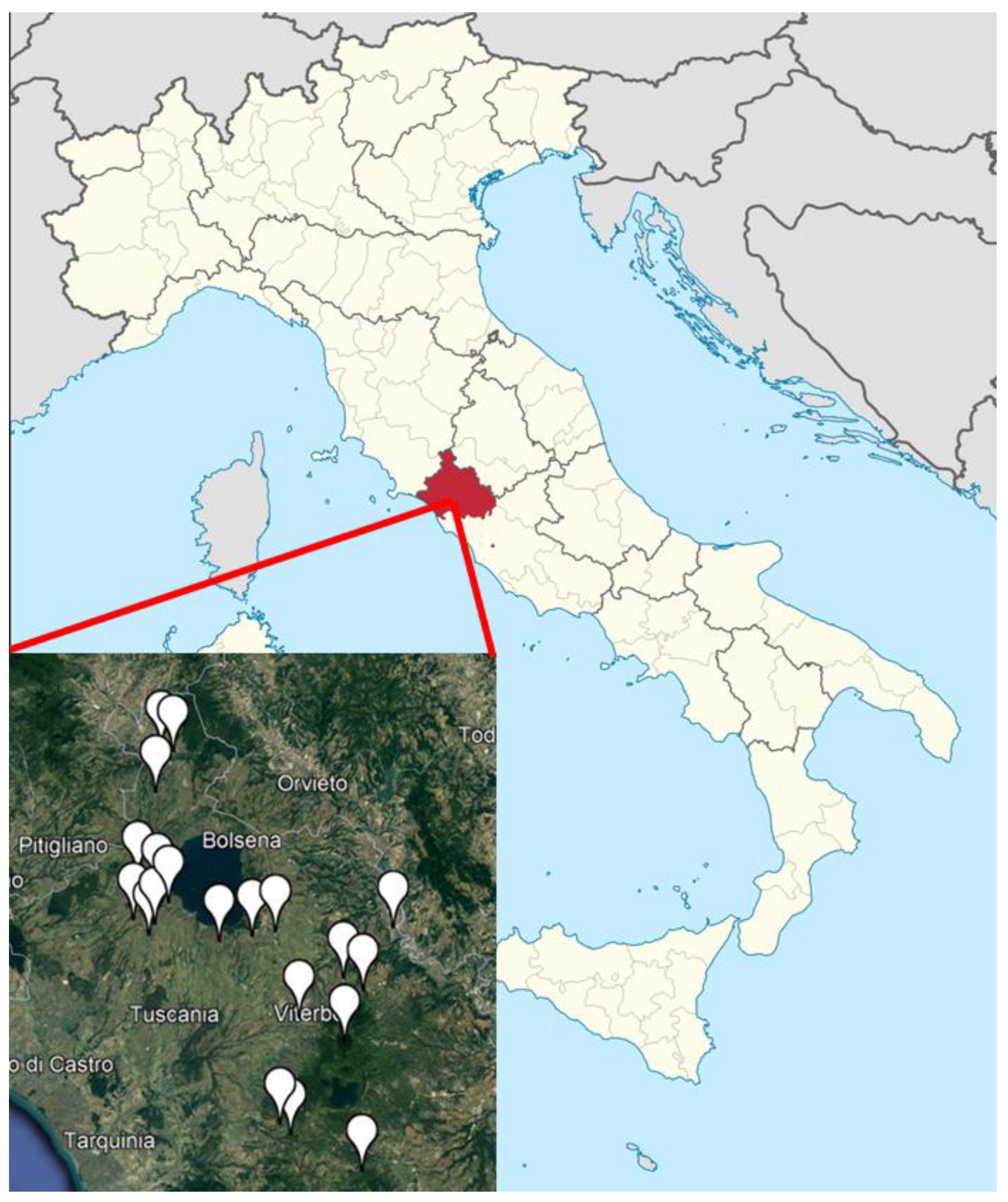 Applsci 12 01388 g001 Applsci 12 01388 g001