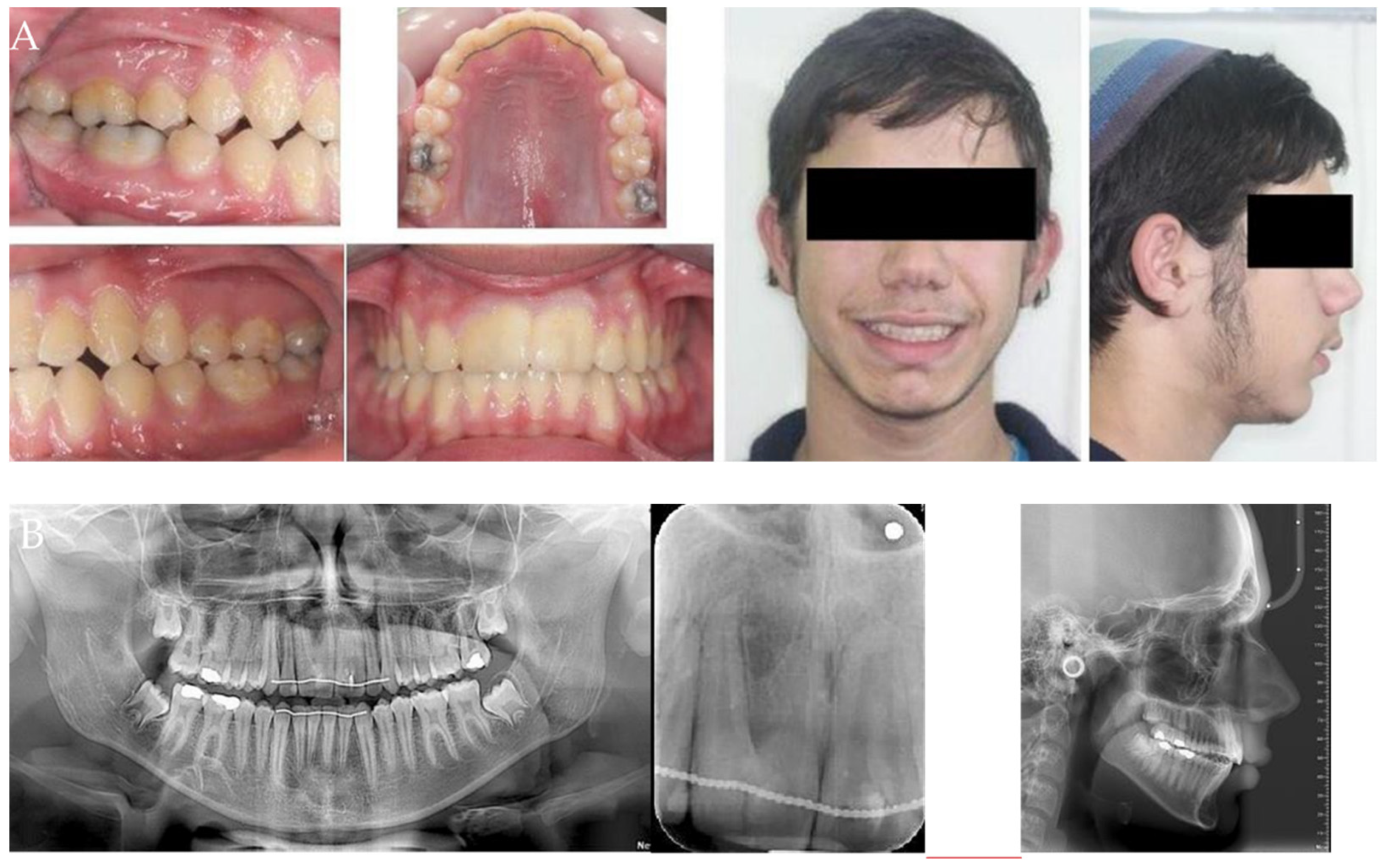 Applsci 12 01389 g002