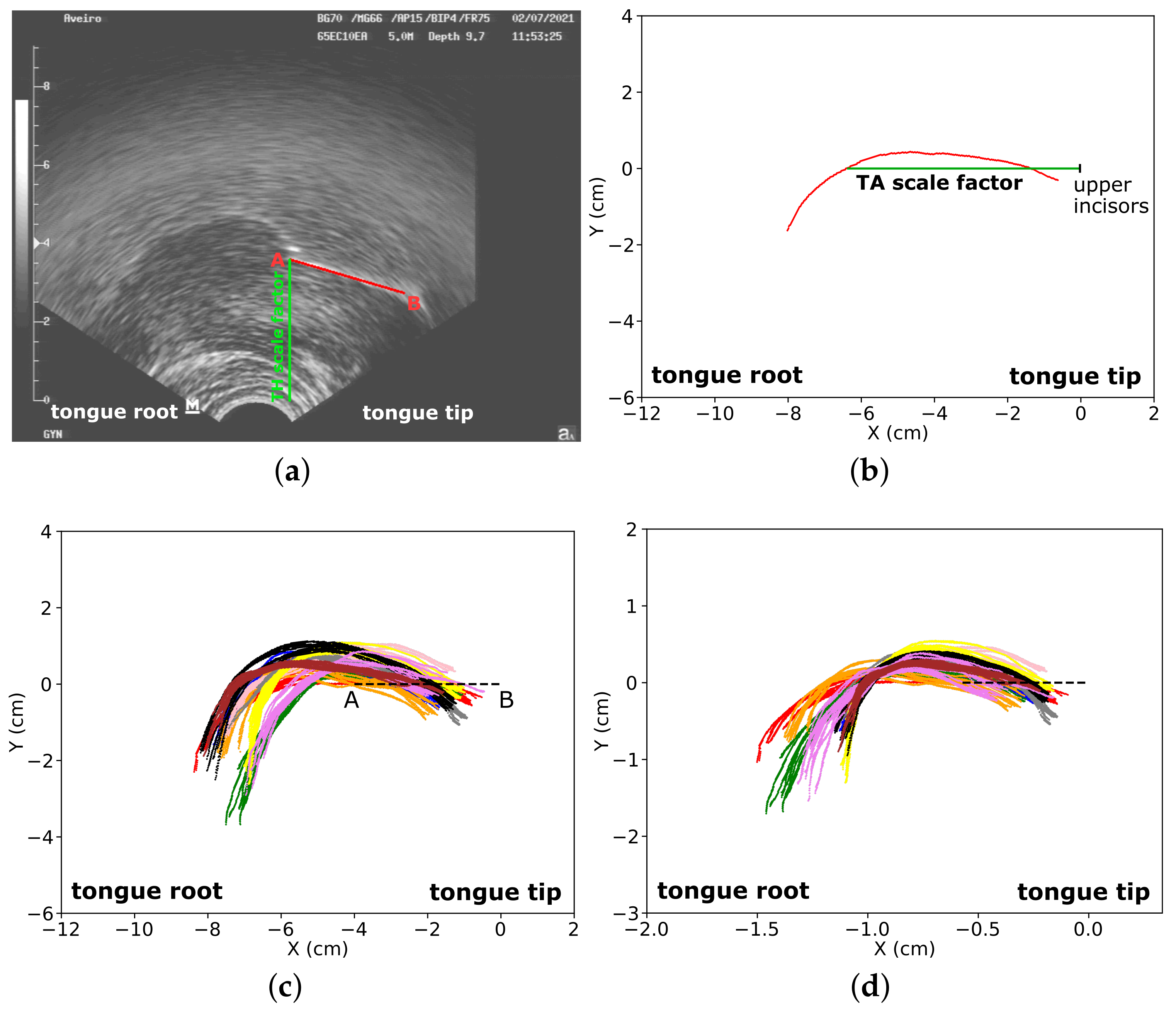 Applsci 12 01396 g005 Applsci 12 01396 g005