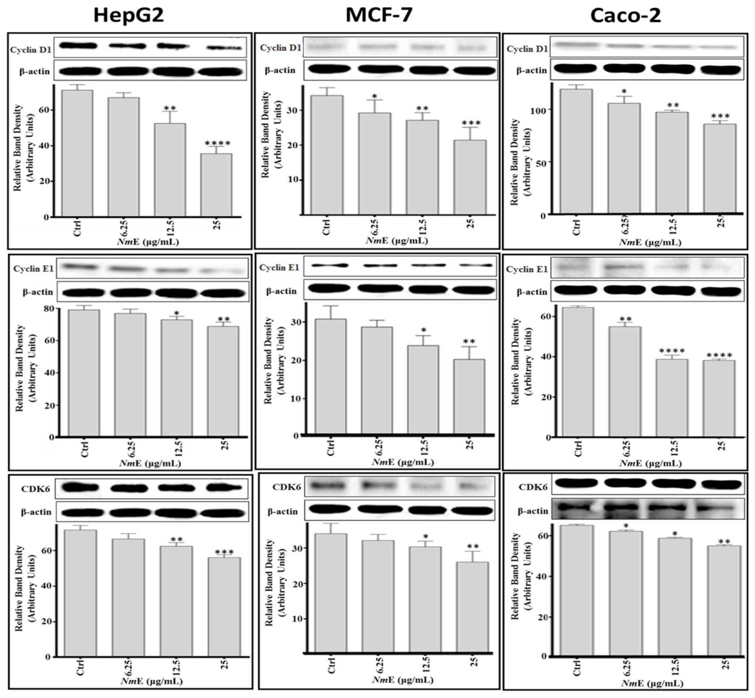 Applsci 12 01400 g011 Applsci 12 01400 g011