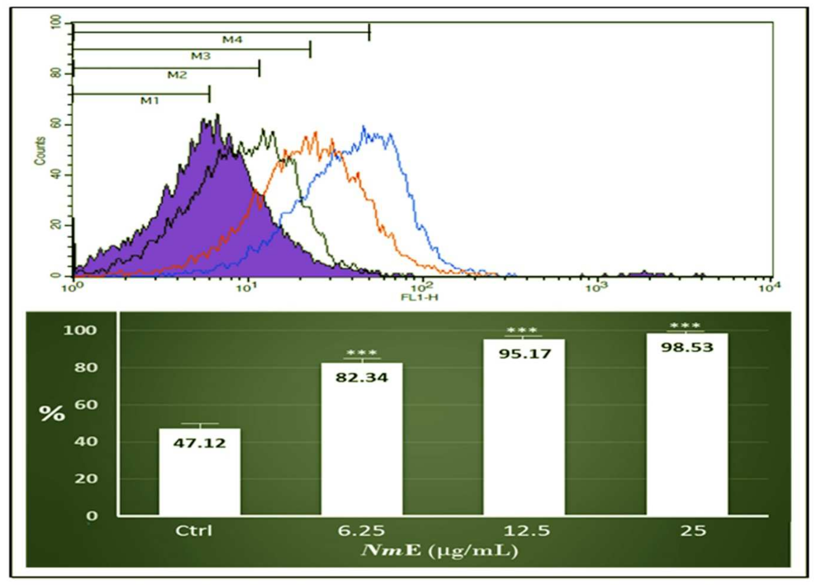 Applsci 12 01400 g012 Applsci 12 01400 g012