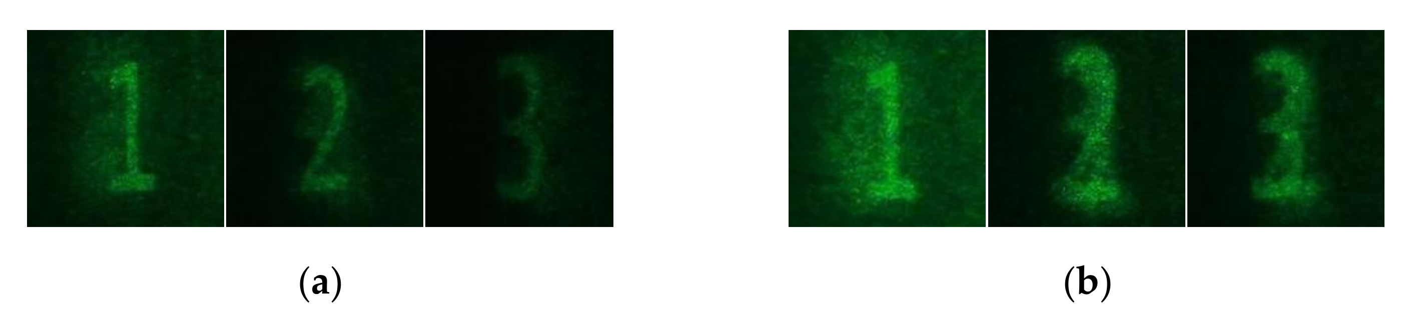 Applsci 12 01413 g011 550