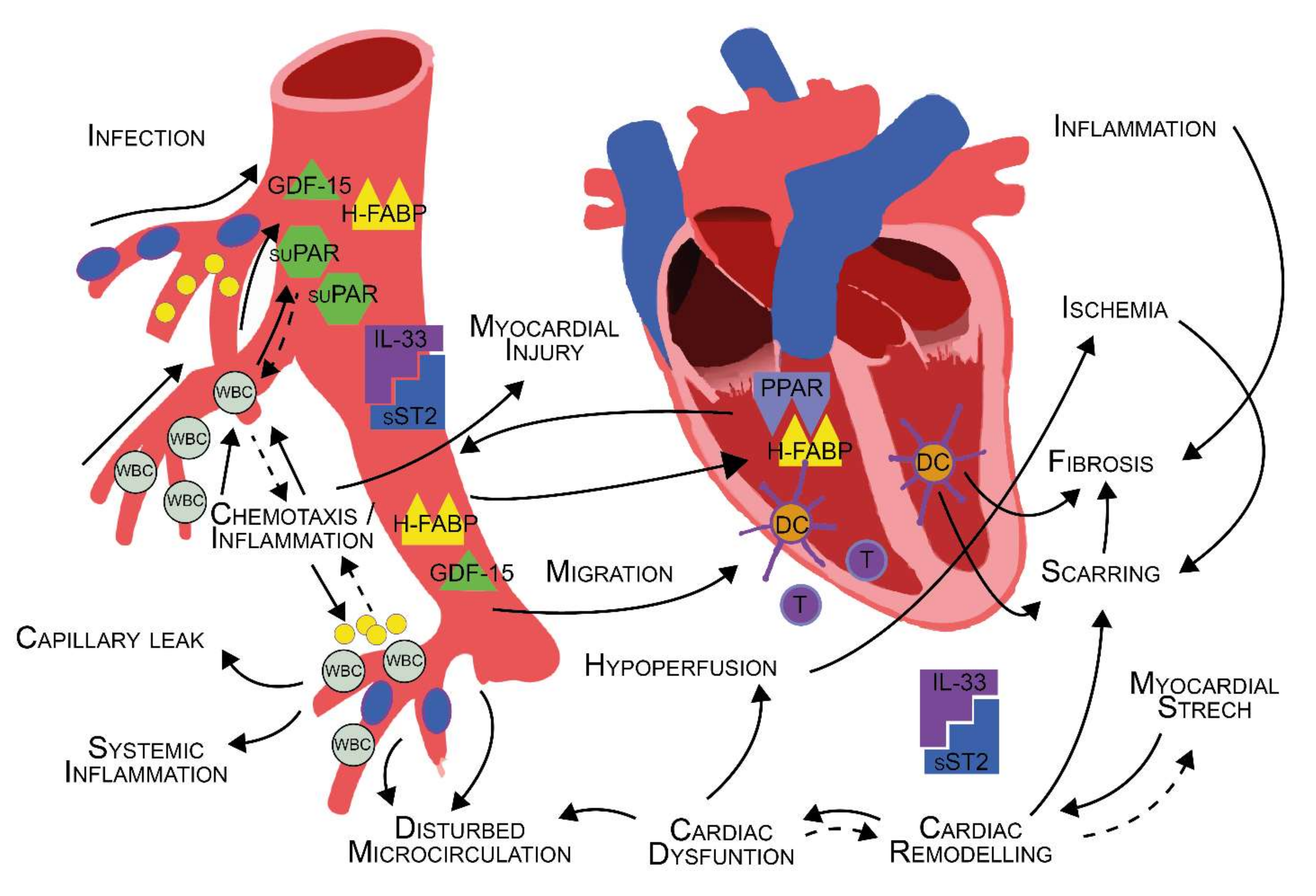 Applsci 12 01419 g003