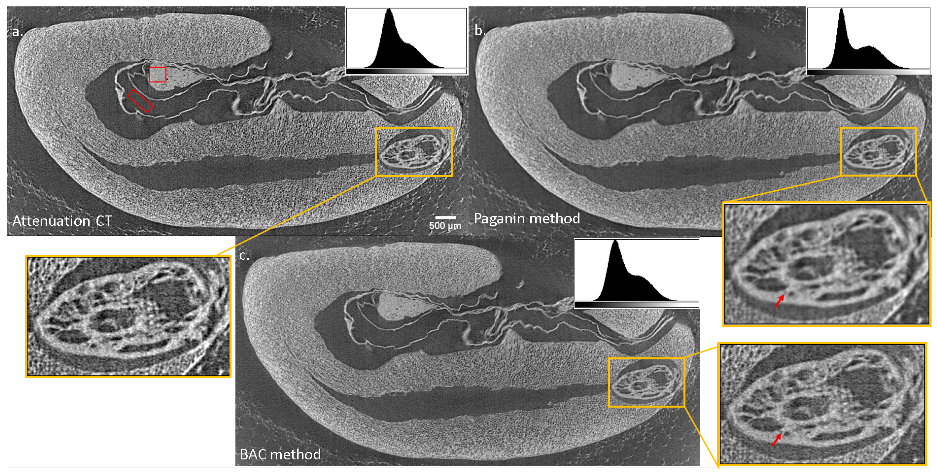 Applsci 12 01430 g003 Applsci 12 01430 g003