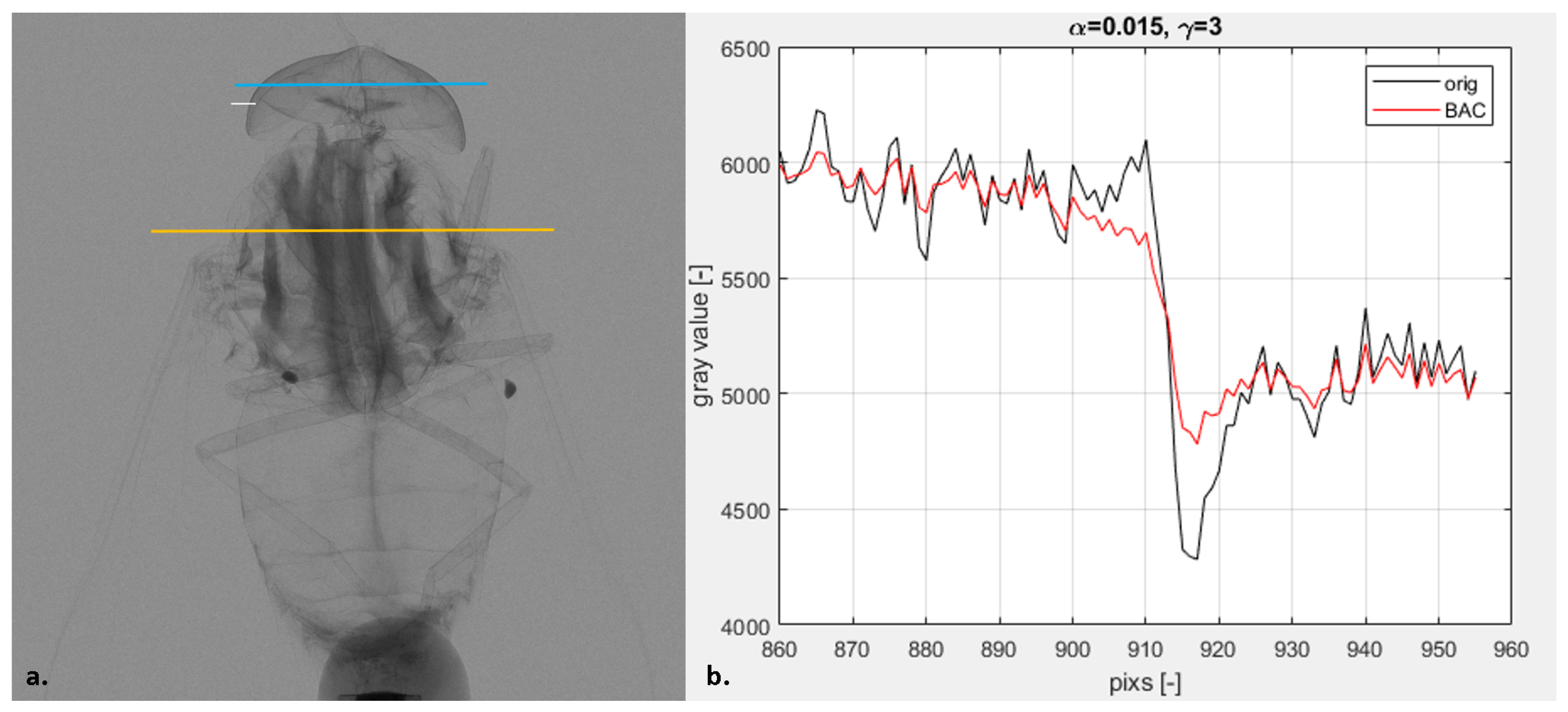 Applsci 12 01430 g004 Applsci 12 01430 g004