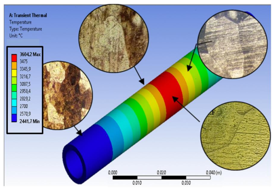 Applsci 12 01440 g007