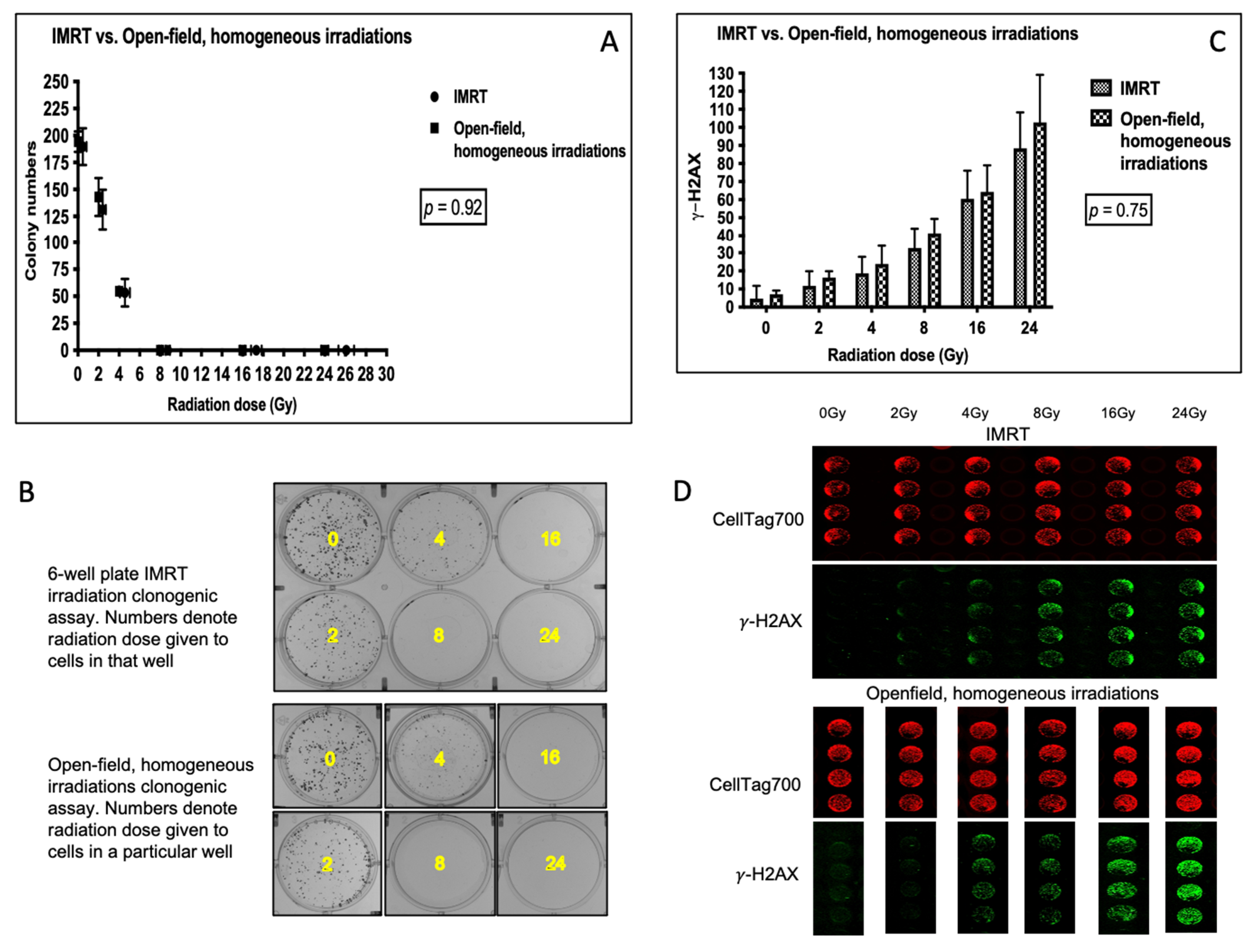 Applsci 12 01456 g005 Applsci 12 01456 g005