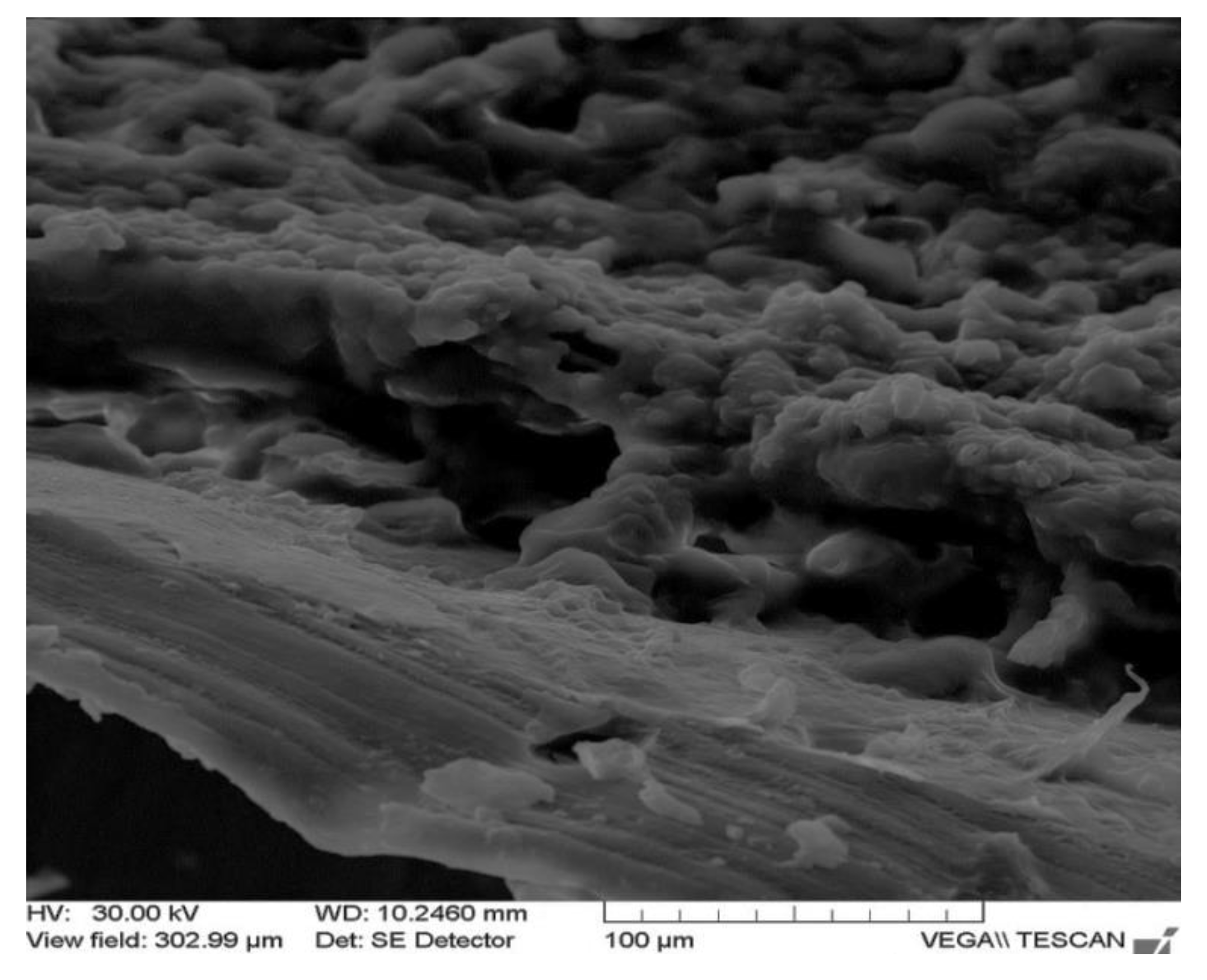 Applsci 12 01464 g002 Applsci 12 01464 g002