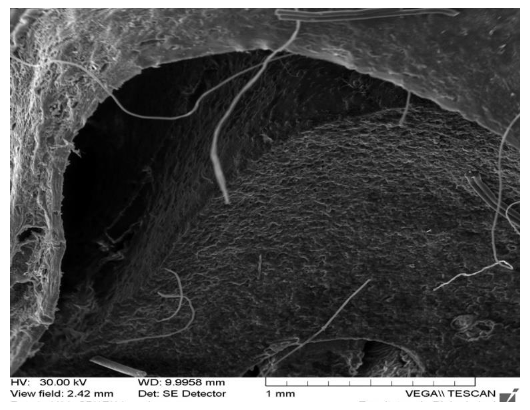 Applsci 12 01464 g003 Applsci 12 01464 g003