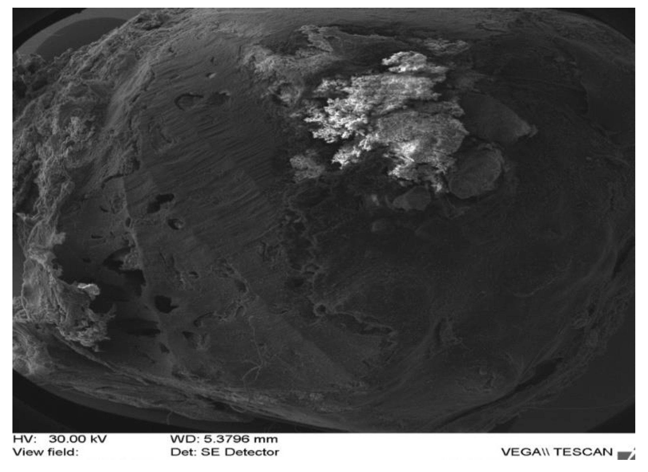 Applsci 12 01464 g004 Applsci 12 01464 g004