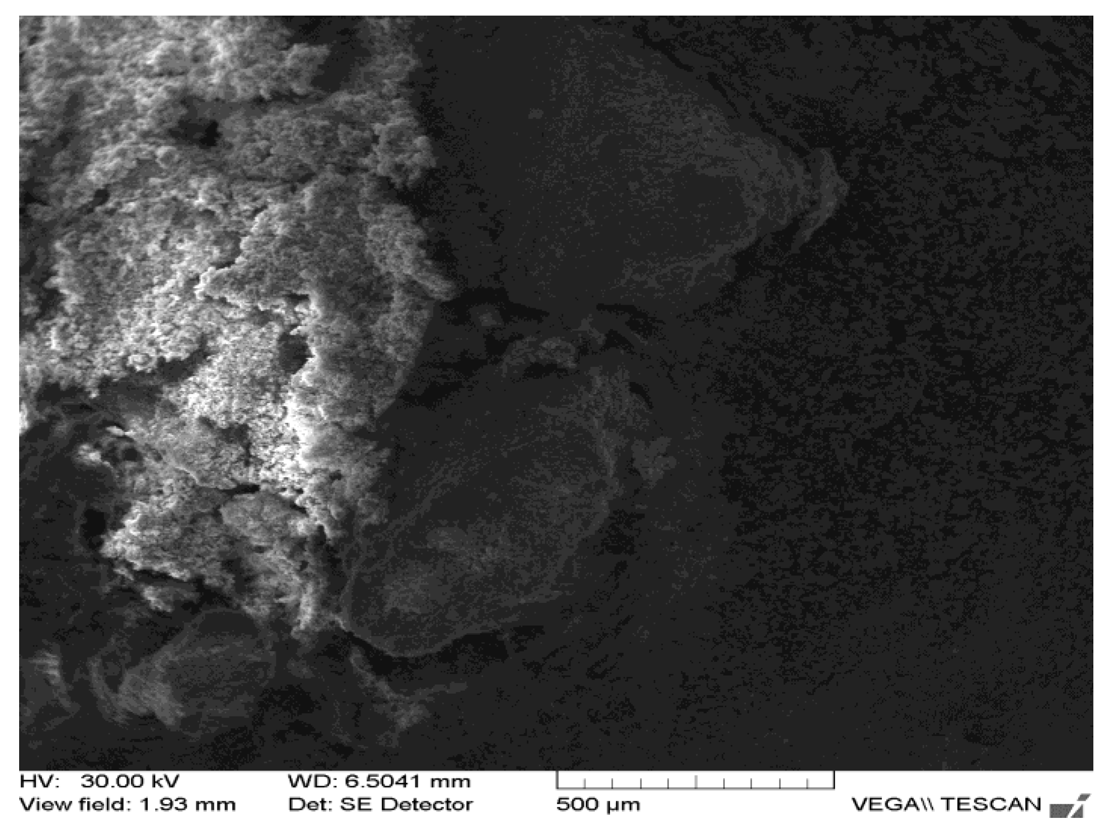 Applsci 12 01464 g005 Applsci 12 01464 g005