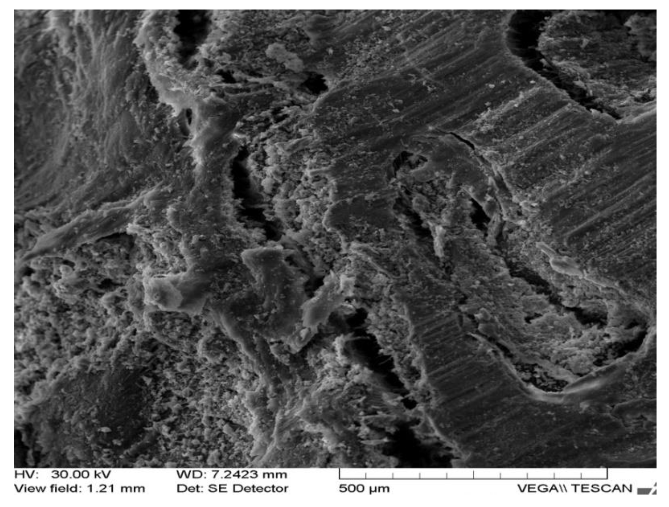 Applsci 12 01464 g006 Applsci 12 01464 g006