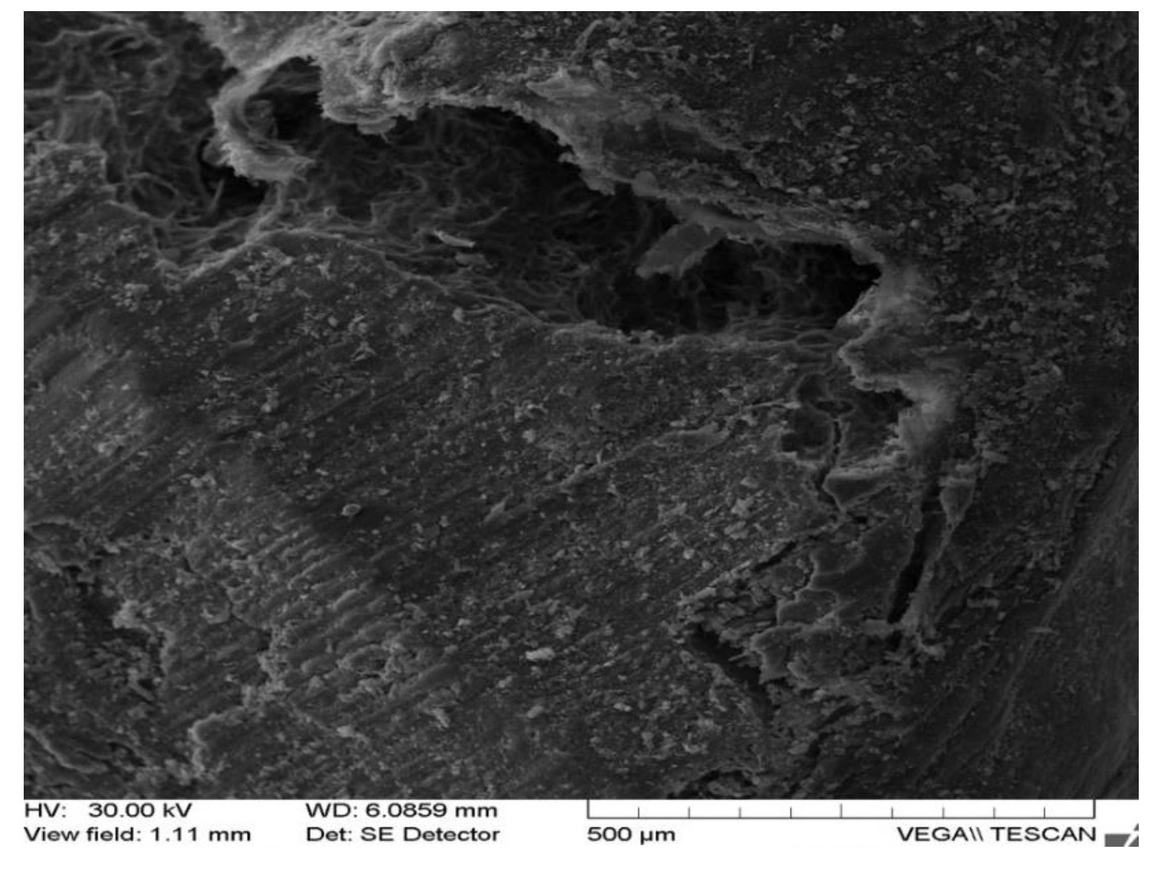 Applsci 12 01464 g007 Applsci 12 01464 g007