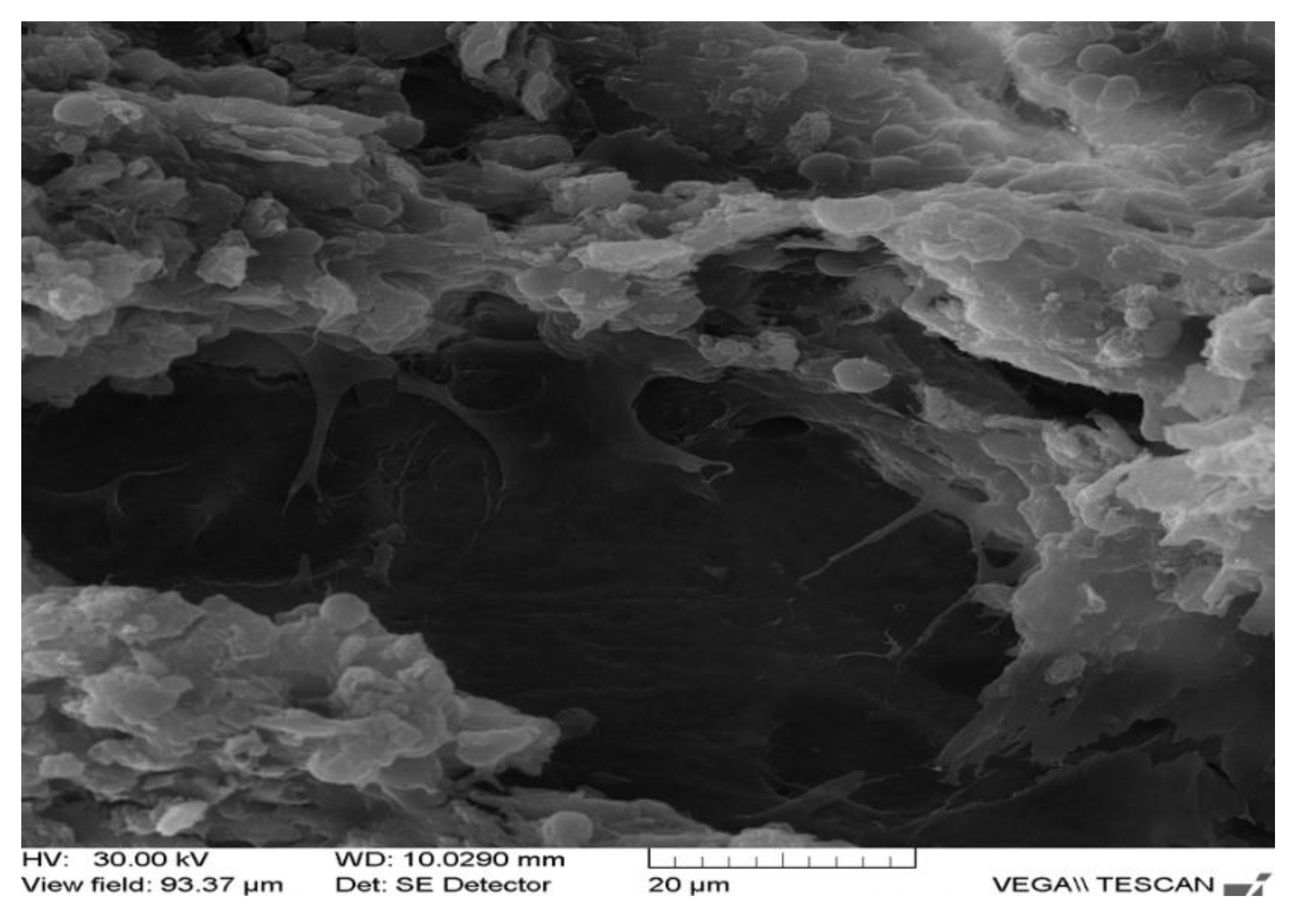 Applsci 12 01464 g009 Applsci 12 01464 g009