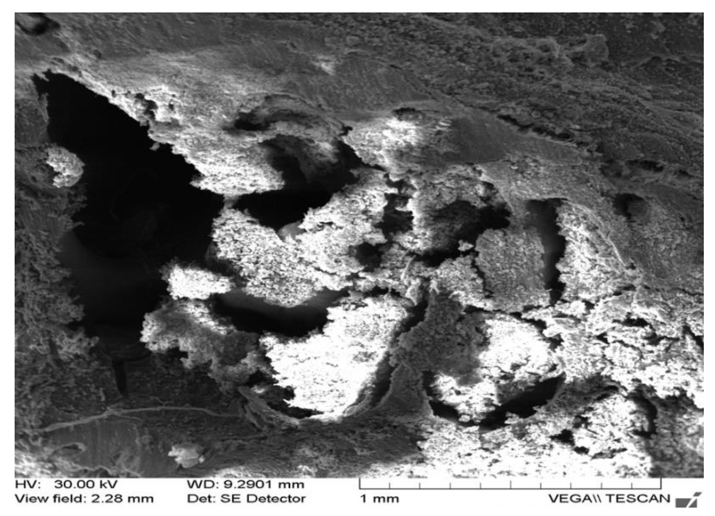 Applsci 12 01464 g010 Applsci 12 01464 g010