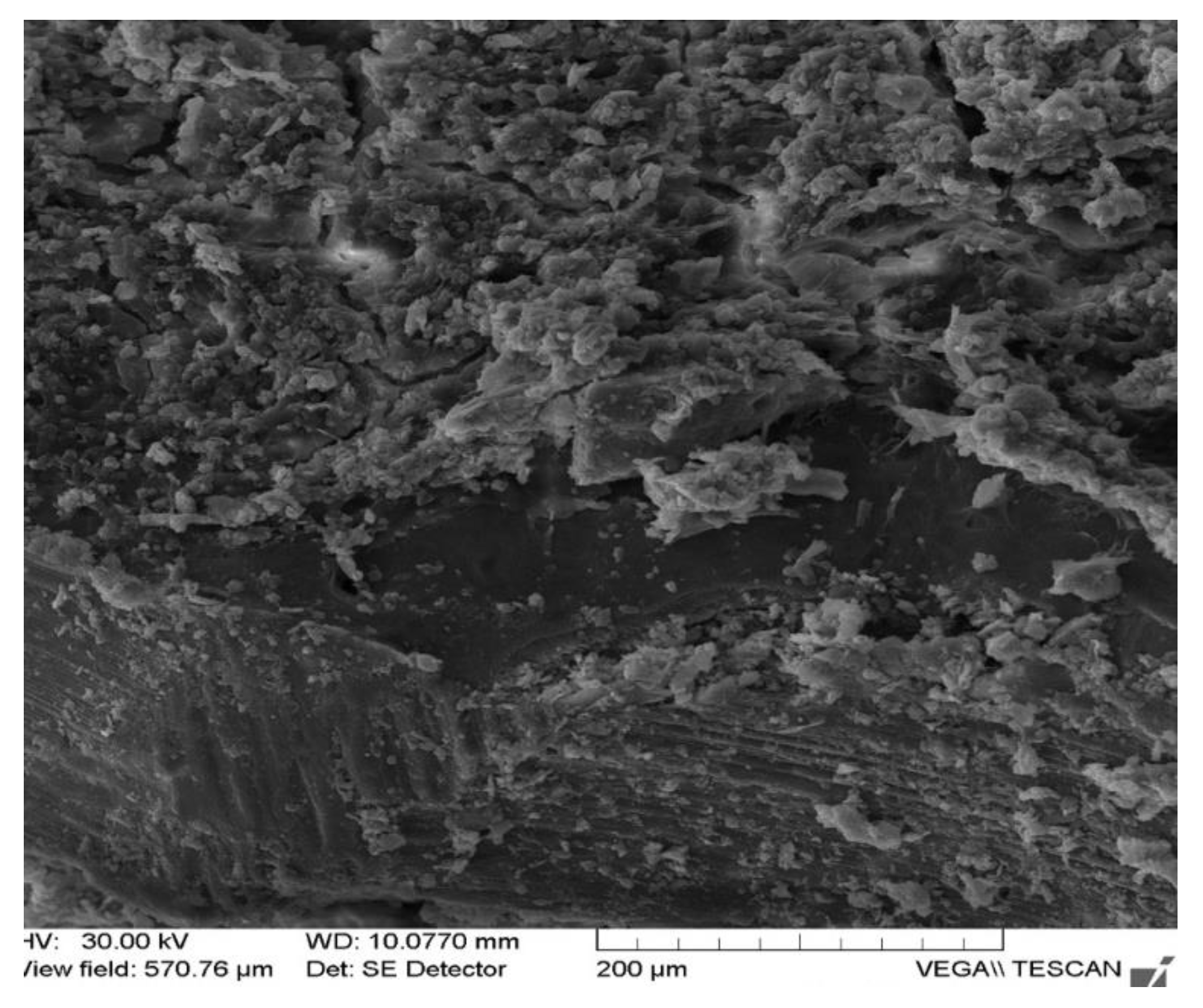 Applsci 12 01464 g011 Applsci 12 01464 g011