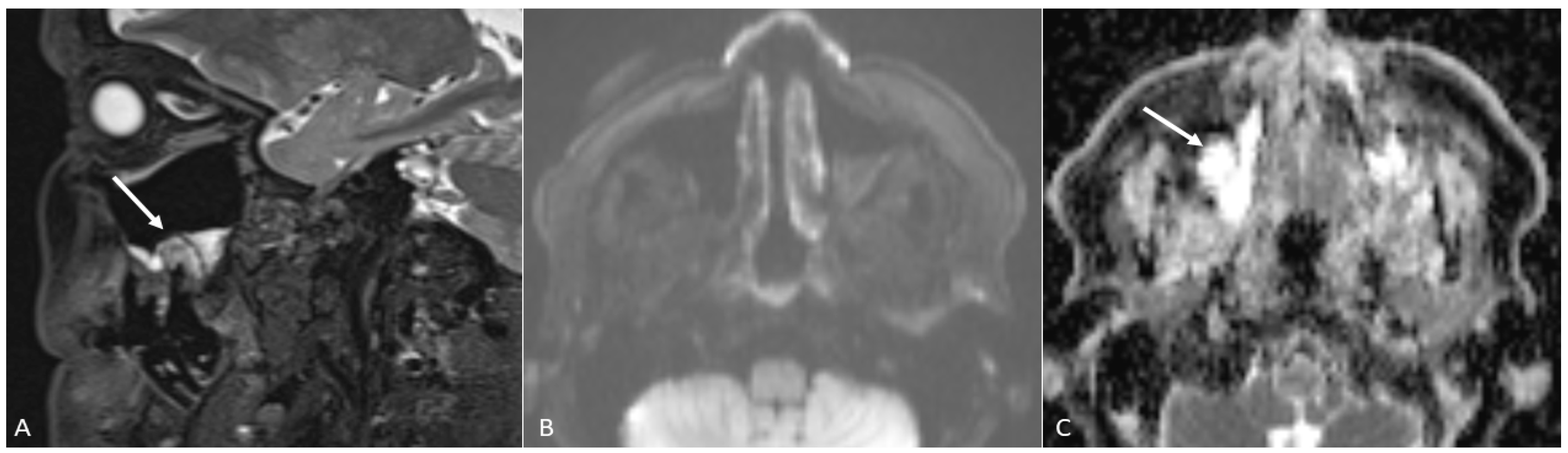 Applsci 12 01473 g007