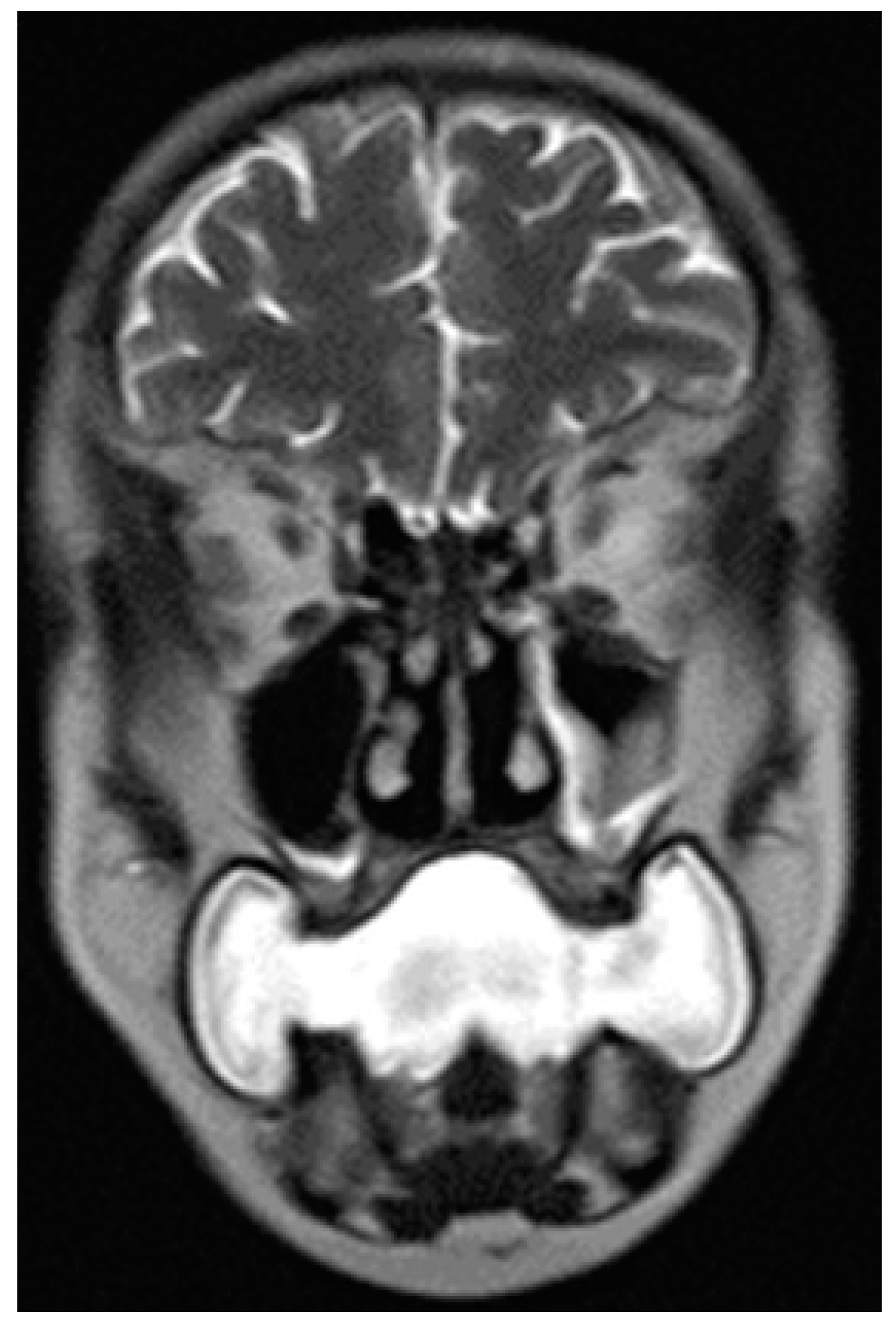 Applsci 12 01473 g017