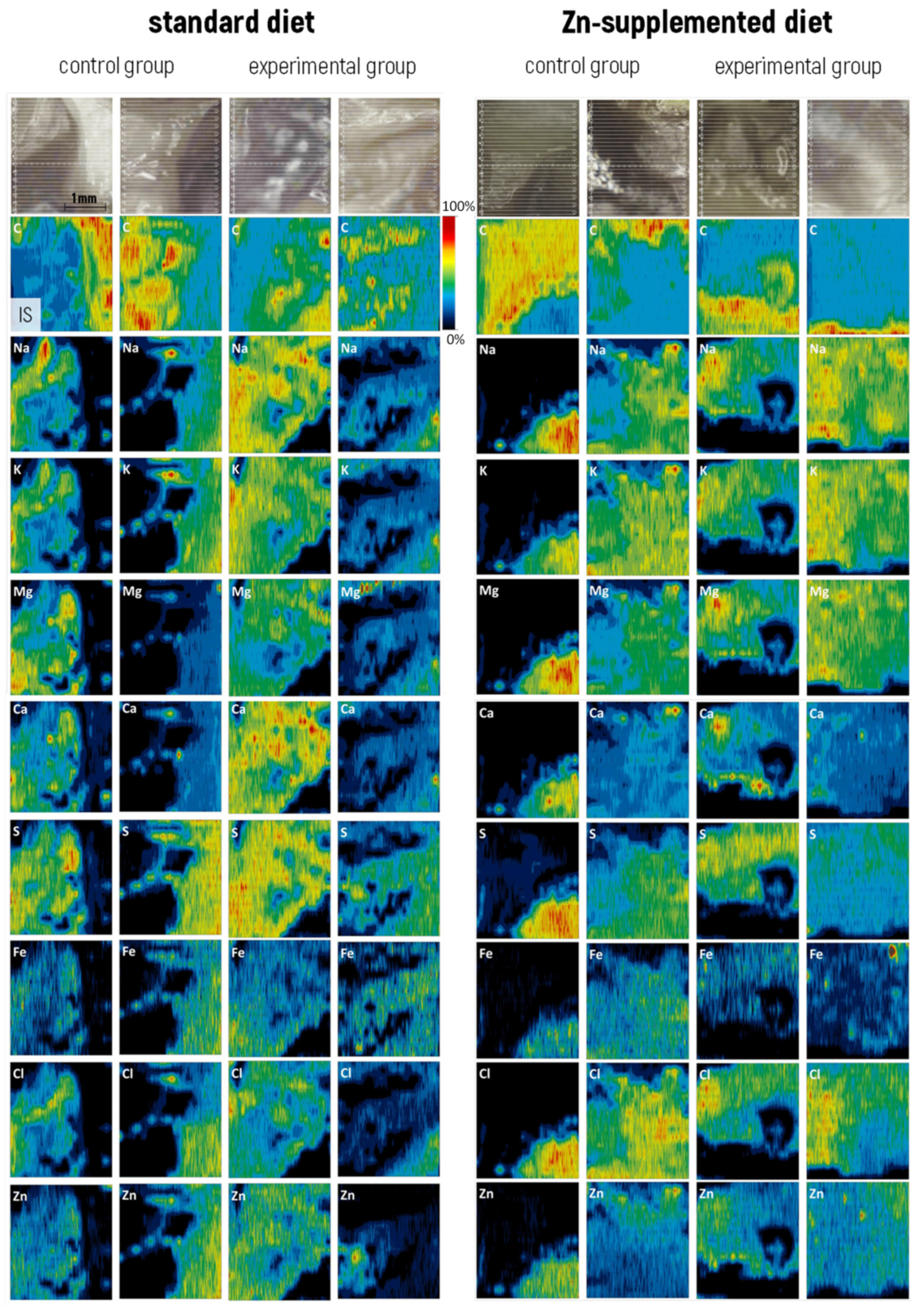 Applsci 12 01474 g001 Applsci 12 01474 g001
