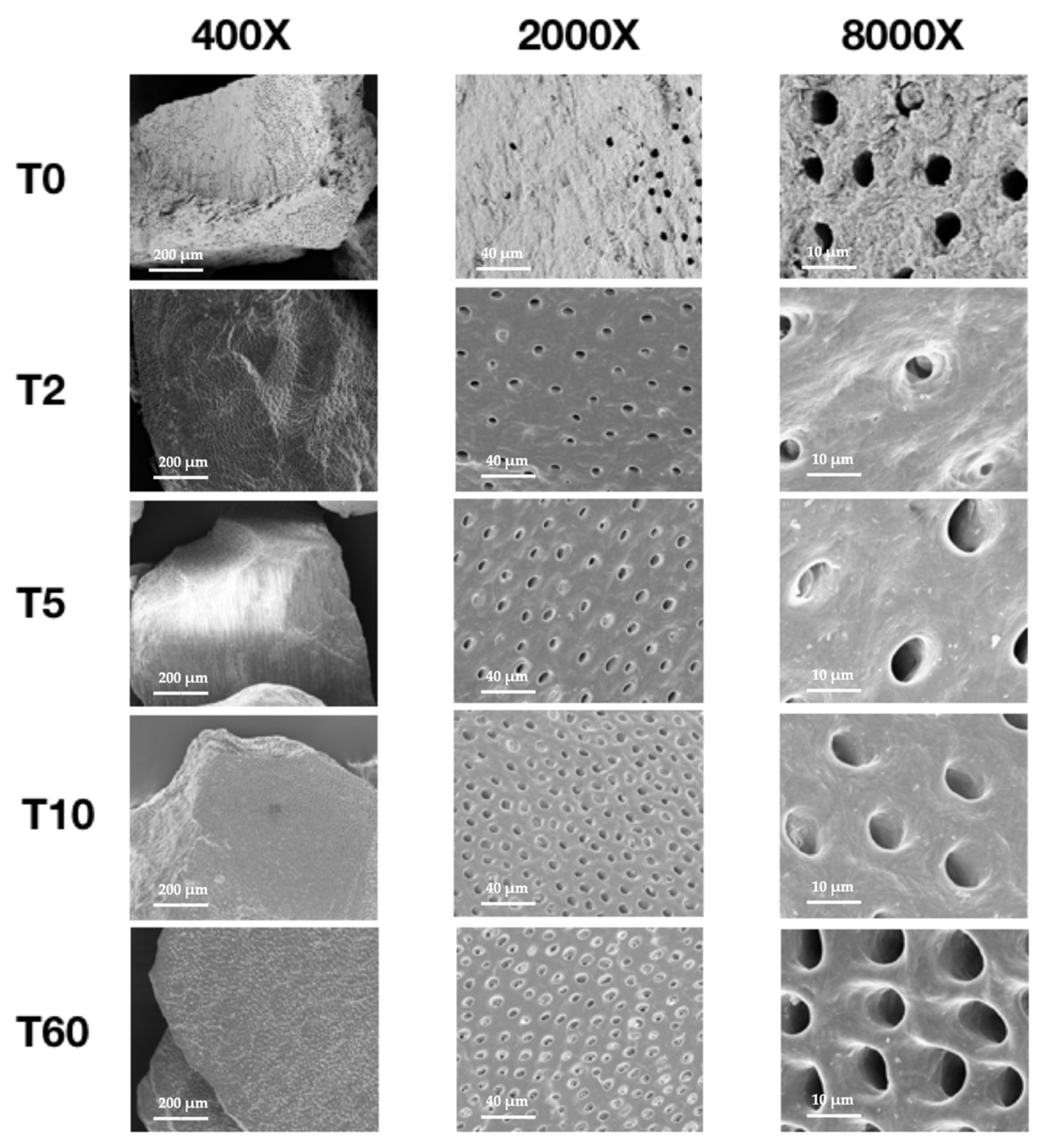 Applsci 12 01480 g007