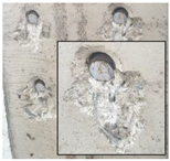 Applsci 12 01508 i002