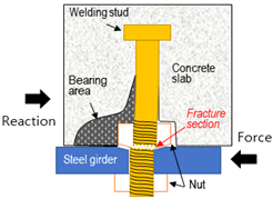 Applsci 12 01508 i007