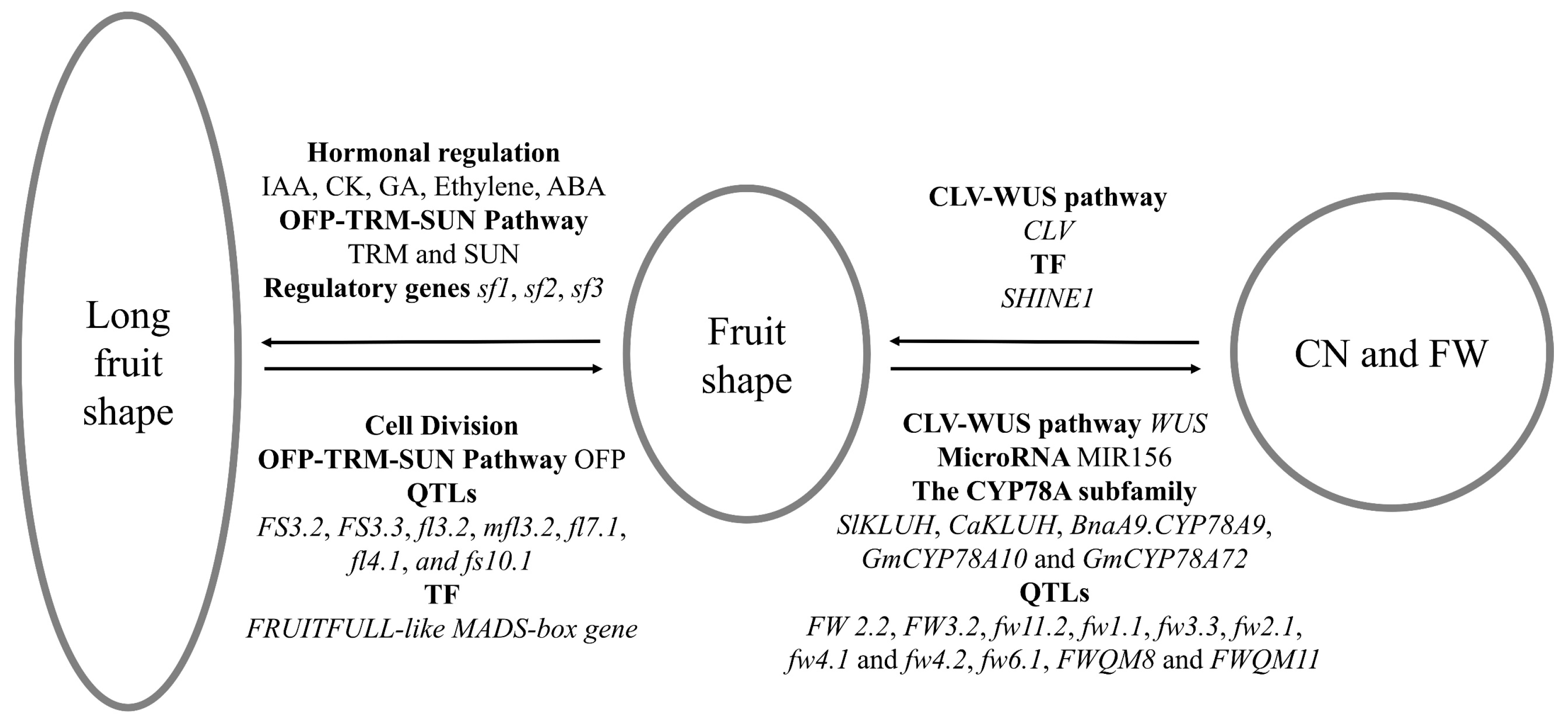 Applsci 12 01514 g002 550