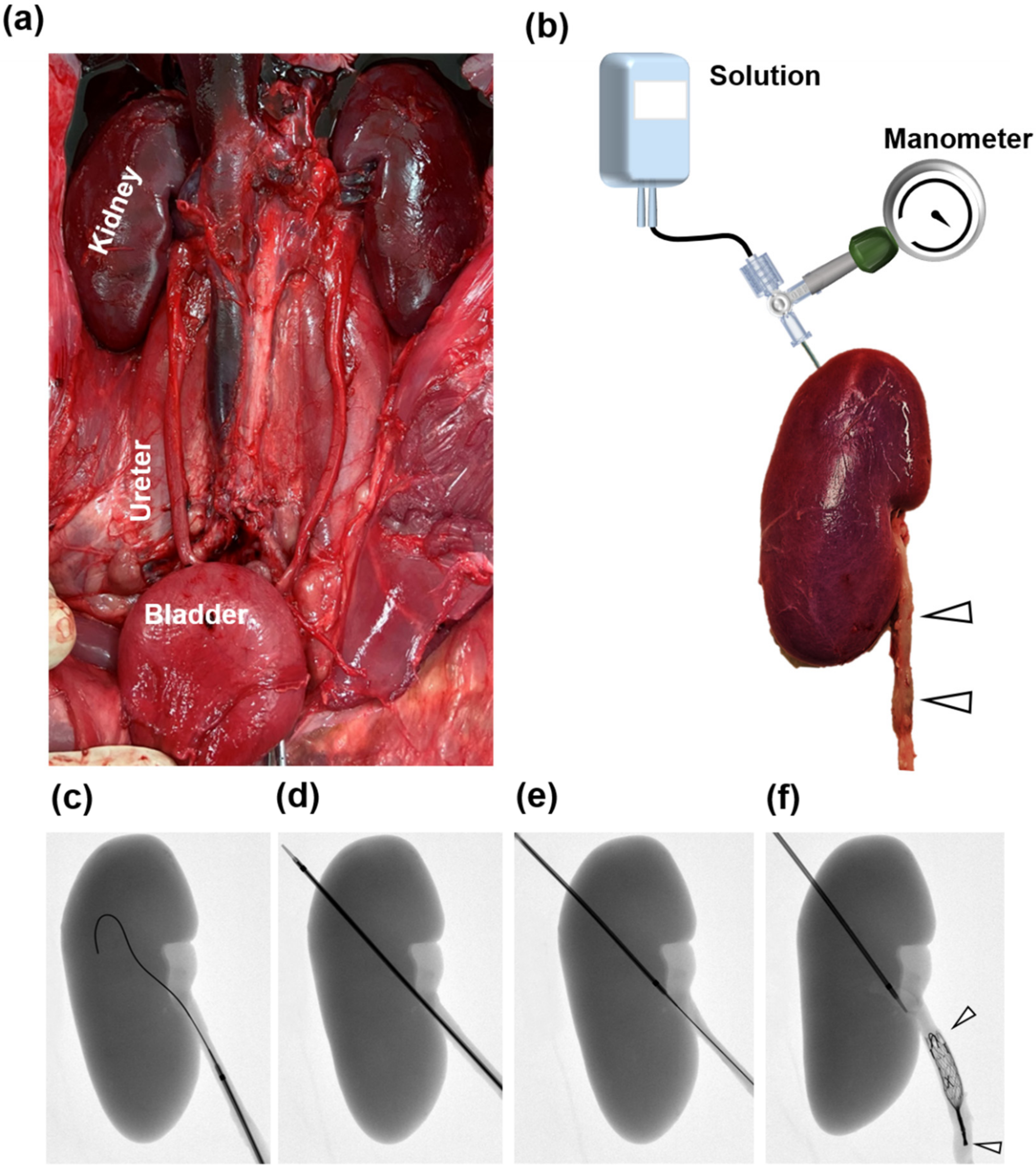 Applsci 12 01516 g002 550