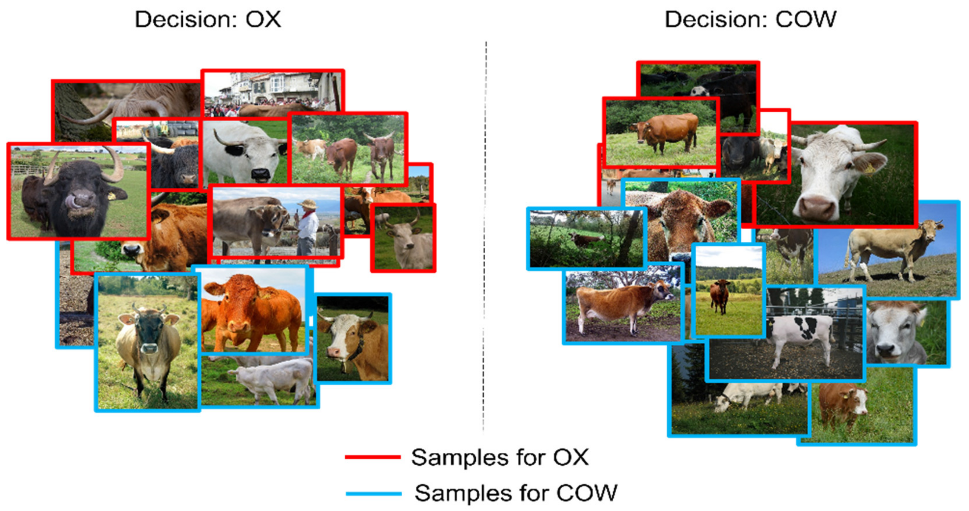 Applsci 12 01523 g004 550