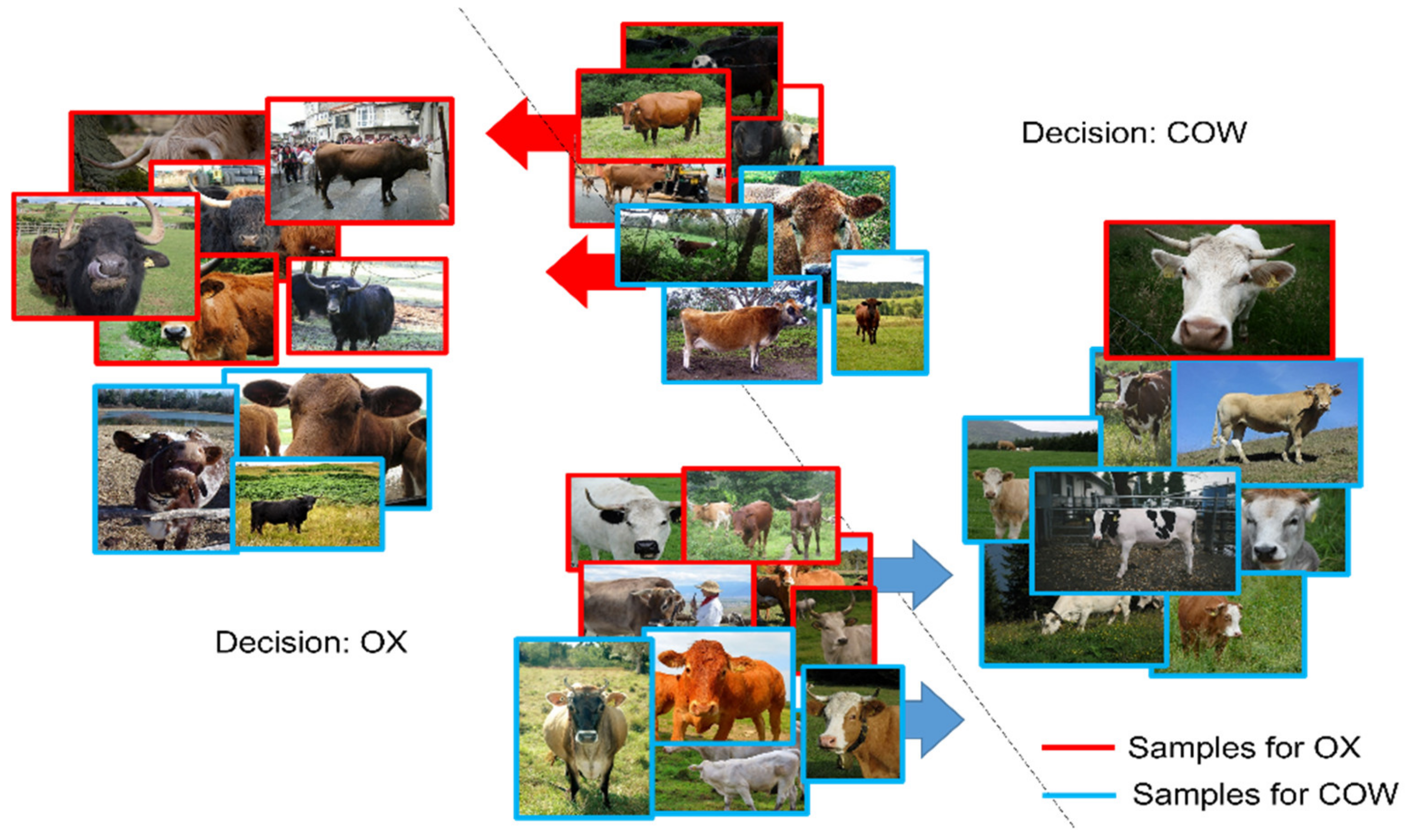 Applsci 12 01523 g005 550