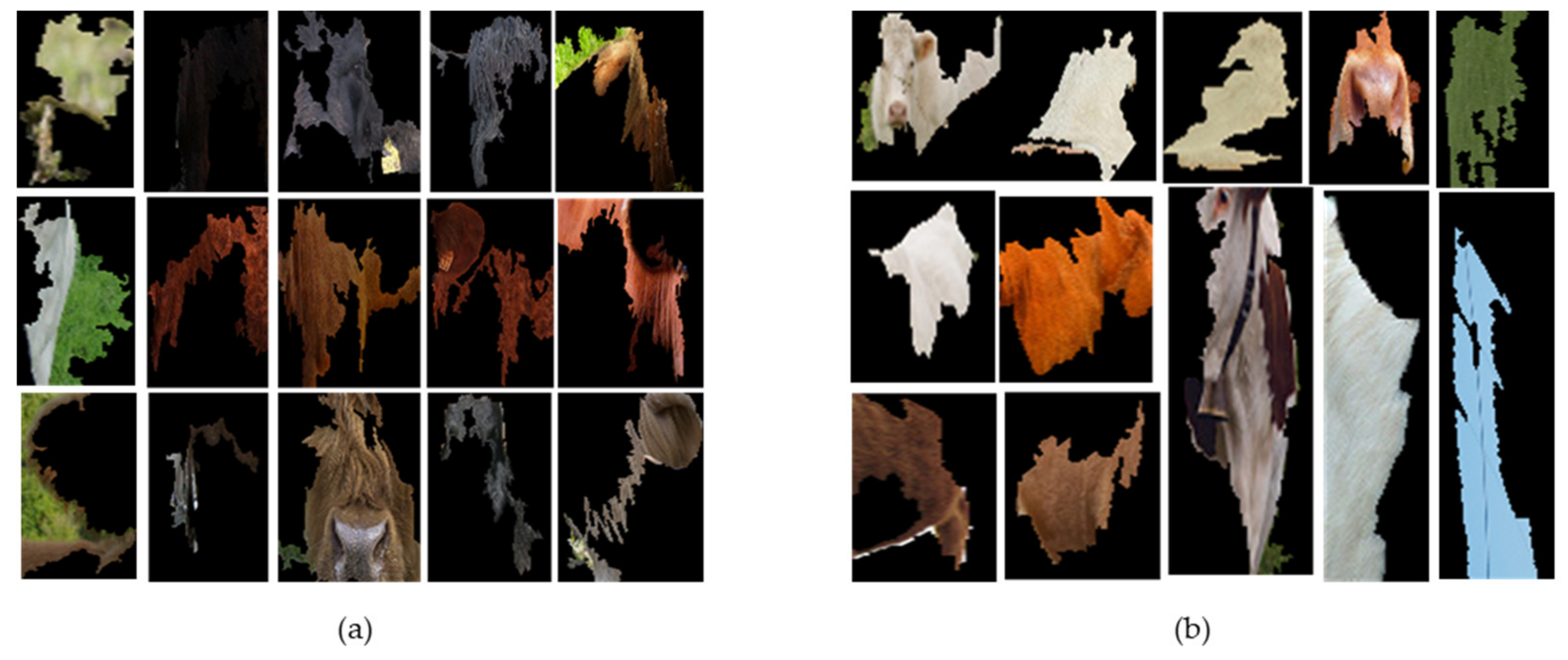 Applsci 12 01523 g006 550