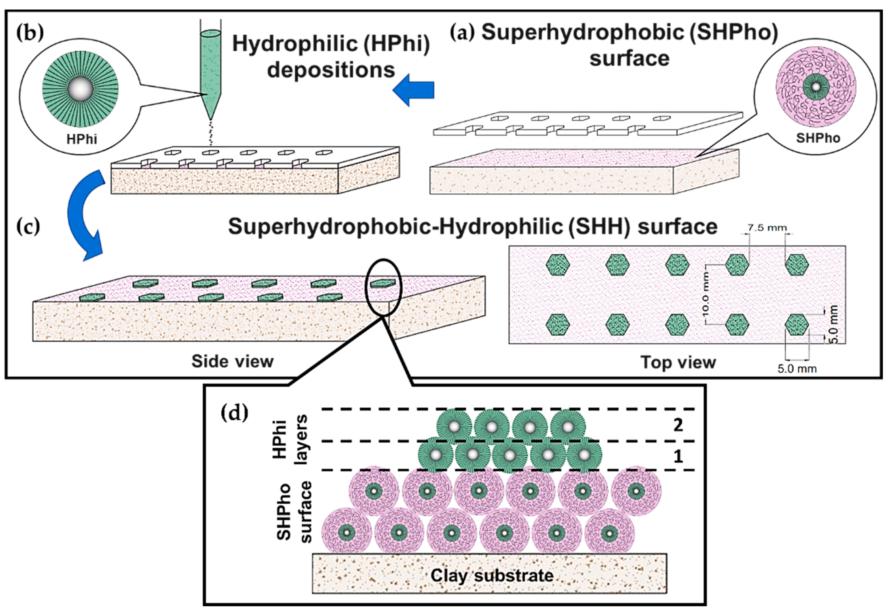 Applsci 12 01526 g008