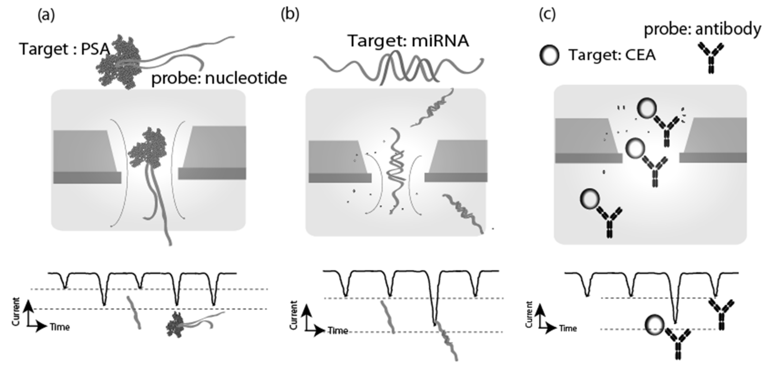 Applsci 12 01539 g003