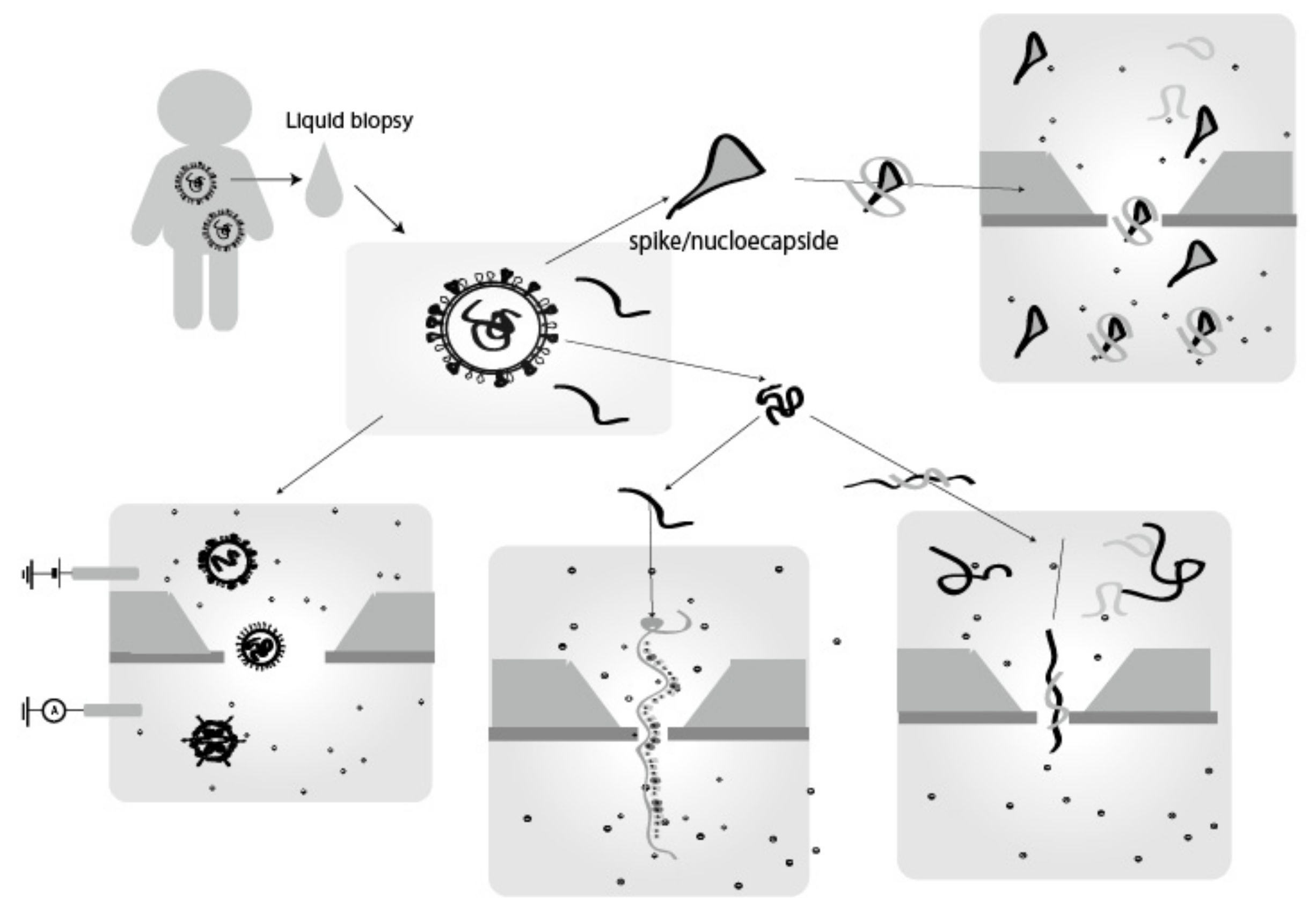 Applsci 12 01539 g005