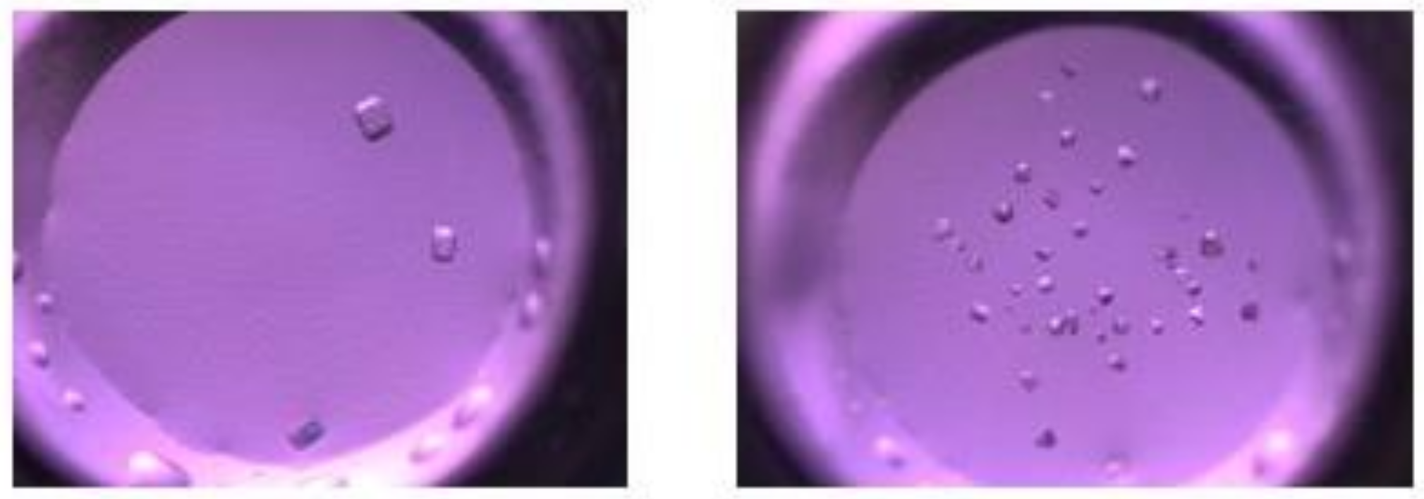 Applsci 12 01543 g003 Applsci 12 01543 g003