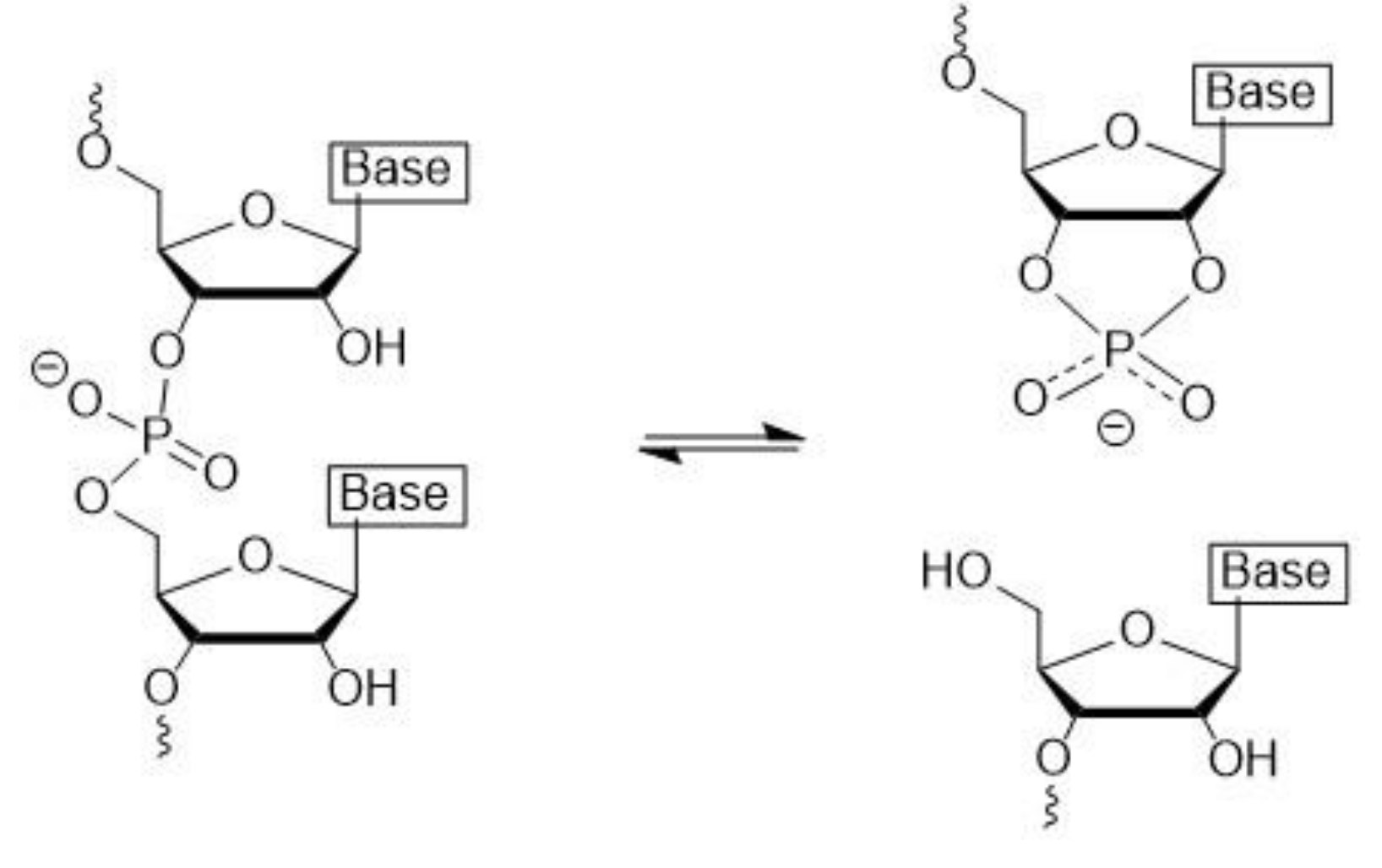 Applsci 12 01543 g004 Applsci 12 01543 g004