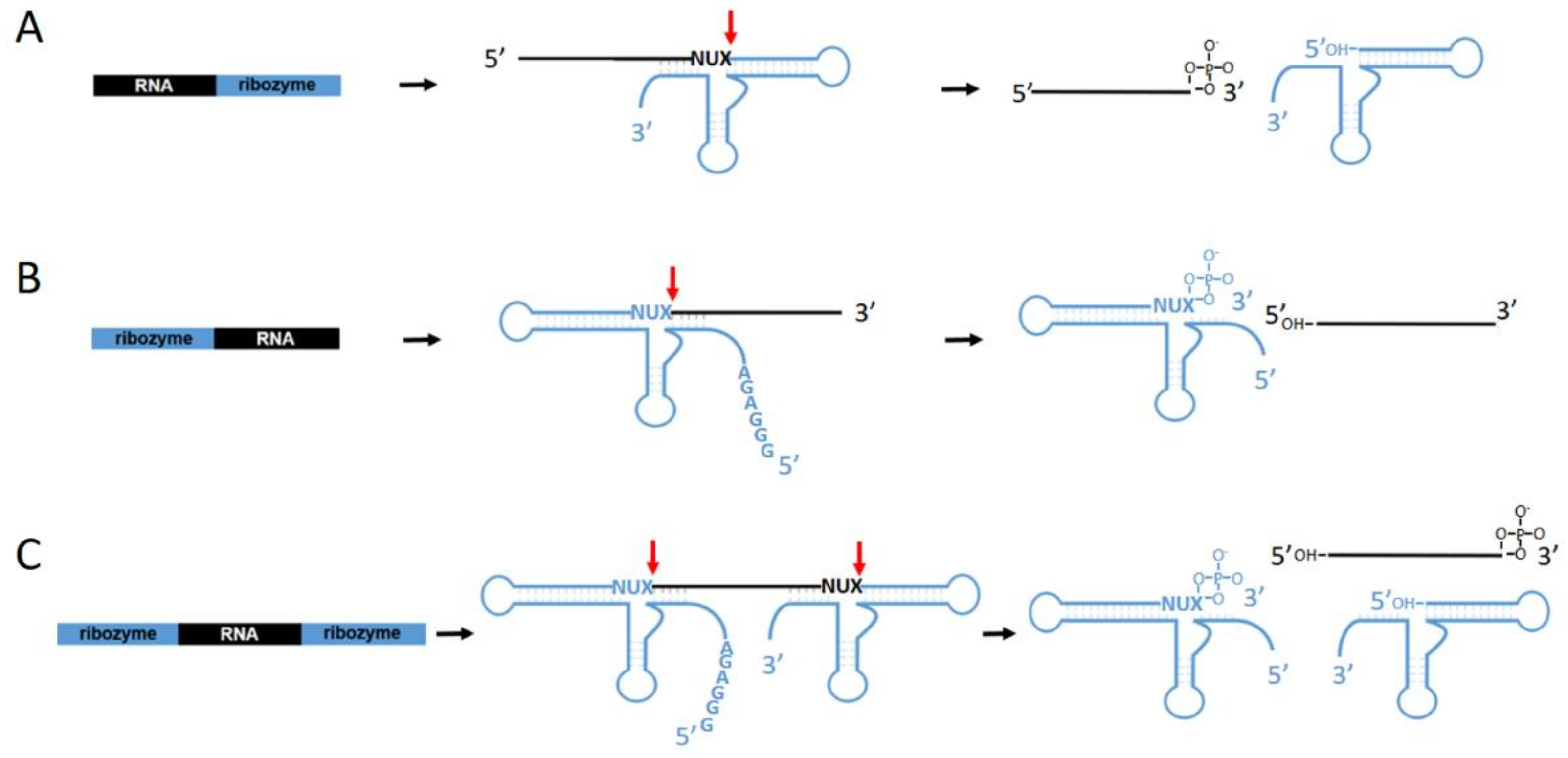 Applsci 12 01543 g005 Applsci 12 01543 g005