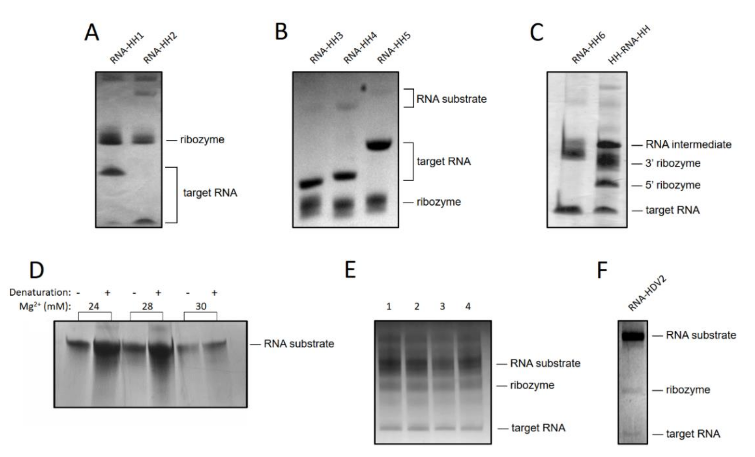 Applsci 12 01543 g007 Applsci 12 01543 g007