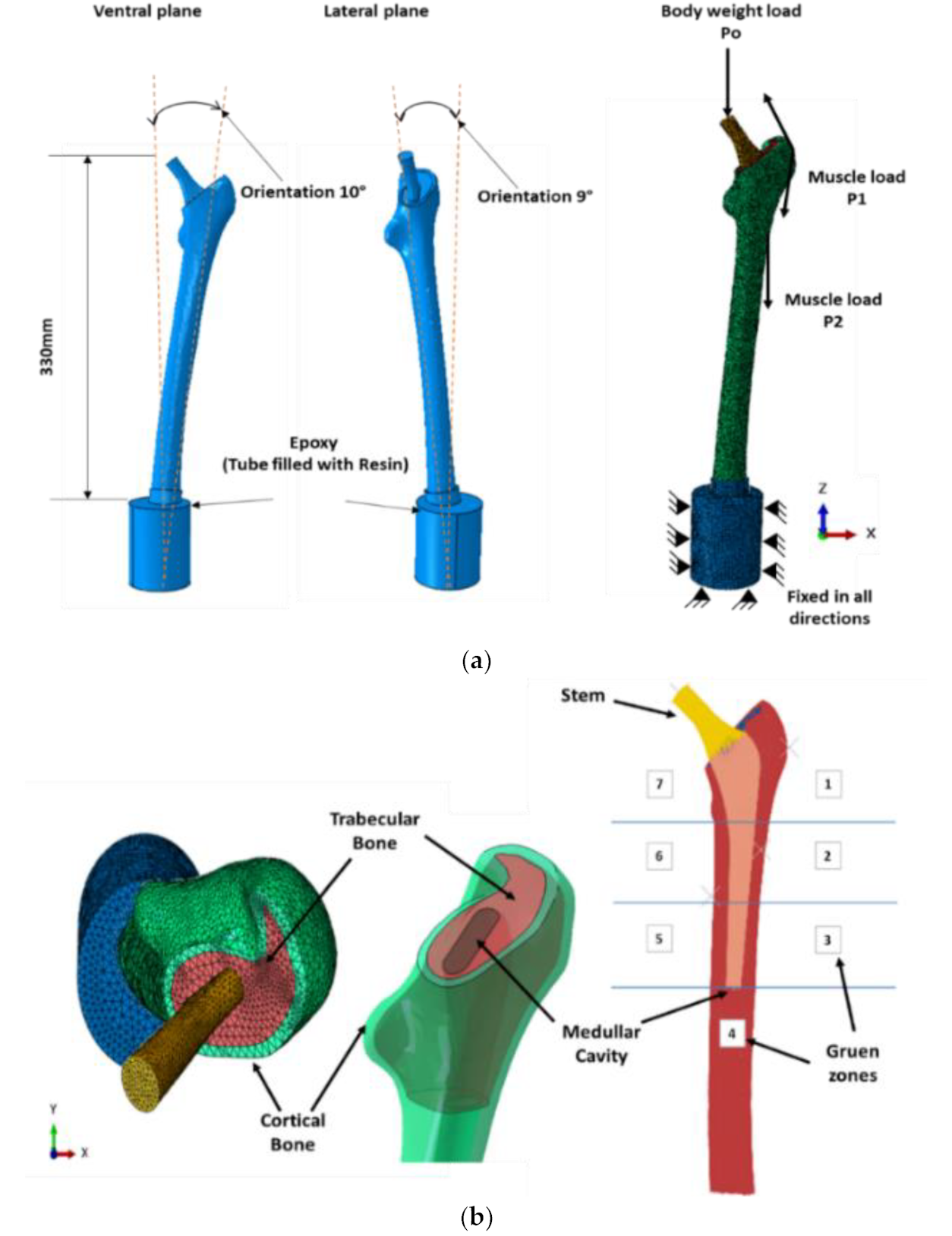 Applsci 12 01548 g005