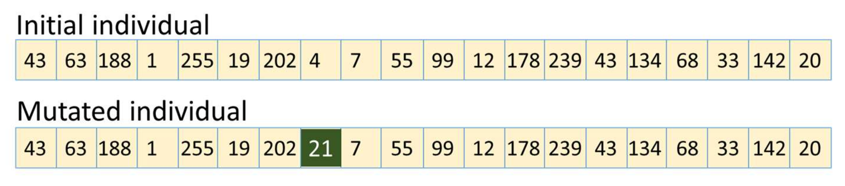 Applsci 12 01559 g006