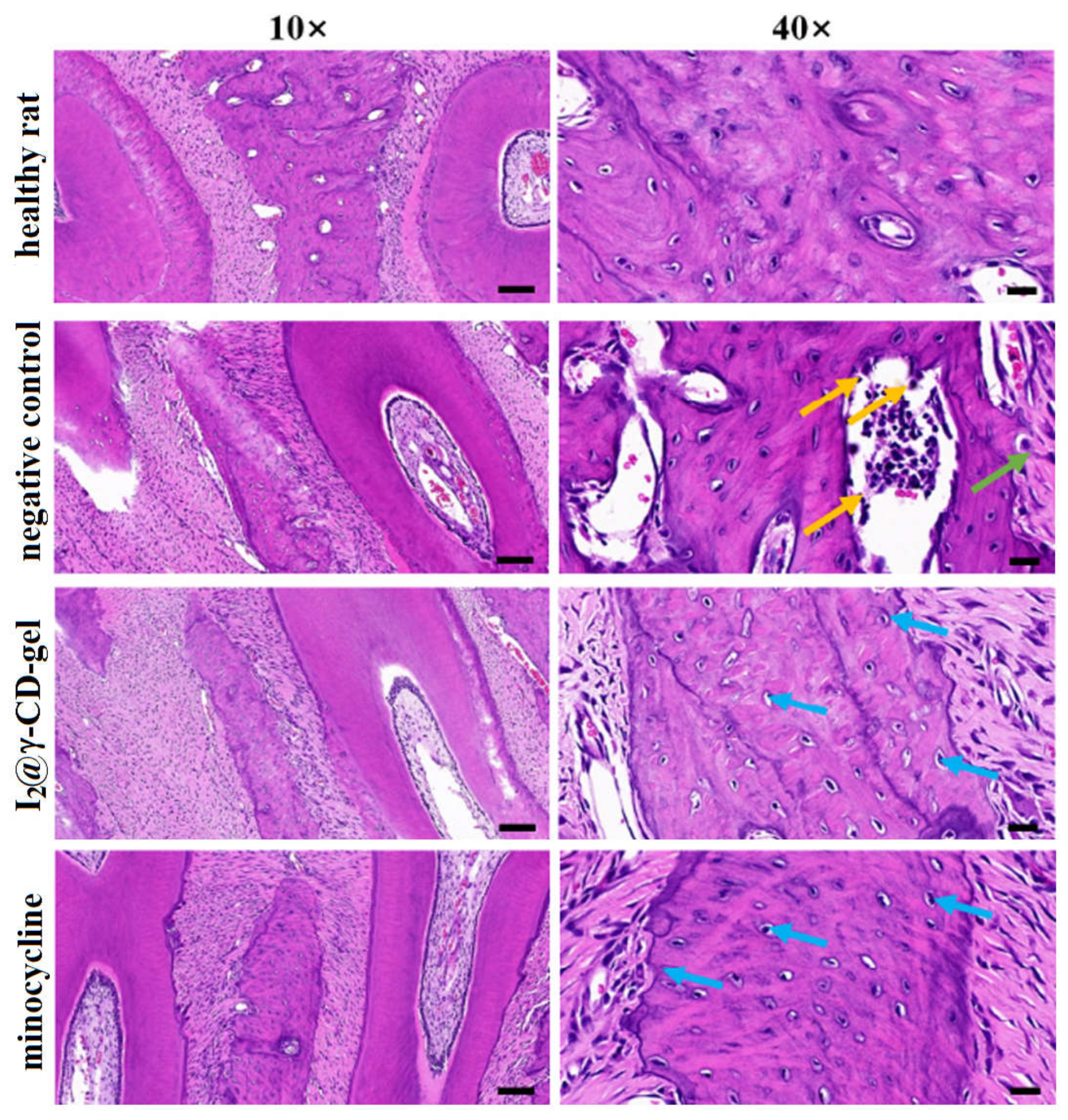 Applsci 12 01574 g007