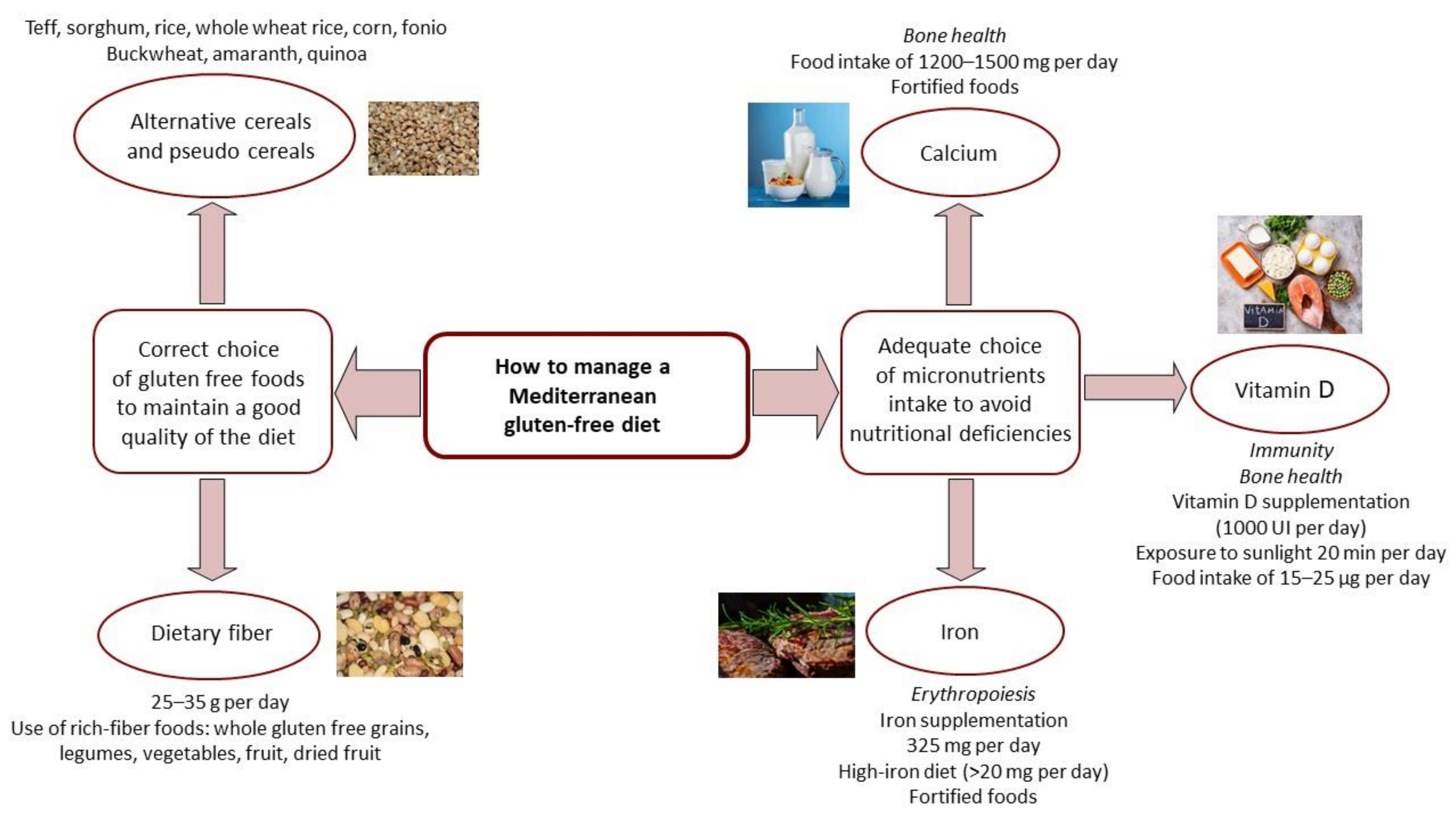 Frontiers  Mediterranean Gluten-Free Diet: Is It a Fair Bet for the  Treatment of Gluten-Related Disorders?