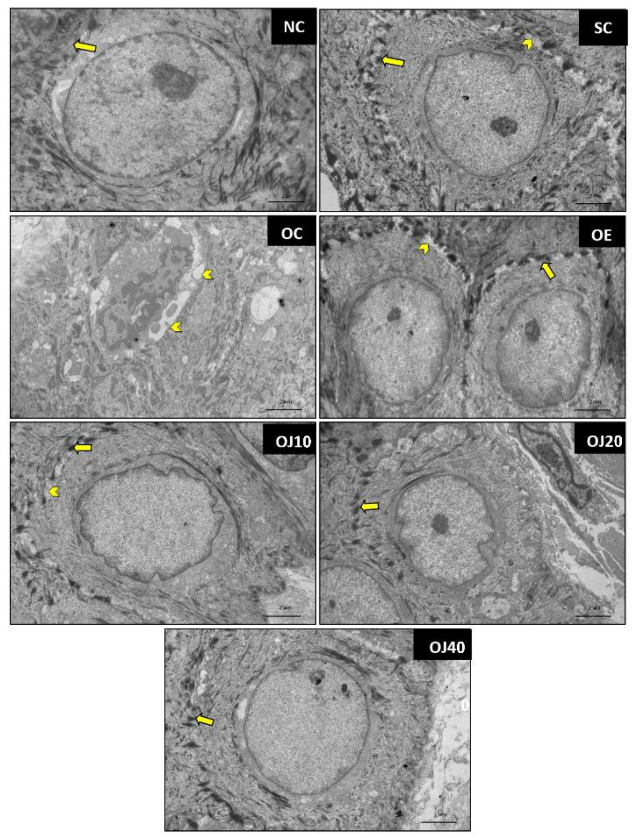 Applsci 12 01584 g003 Applsci 12 01584 g003