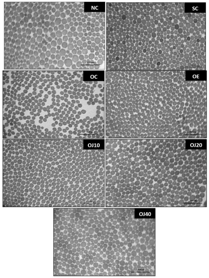Applsci 12 01584 g008 Applsci 12 01584 g008