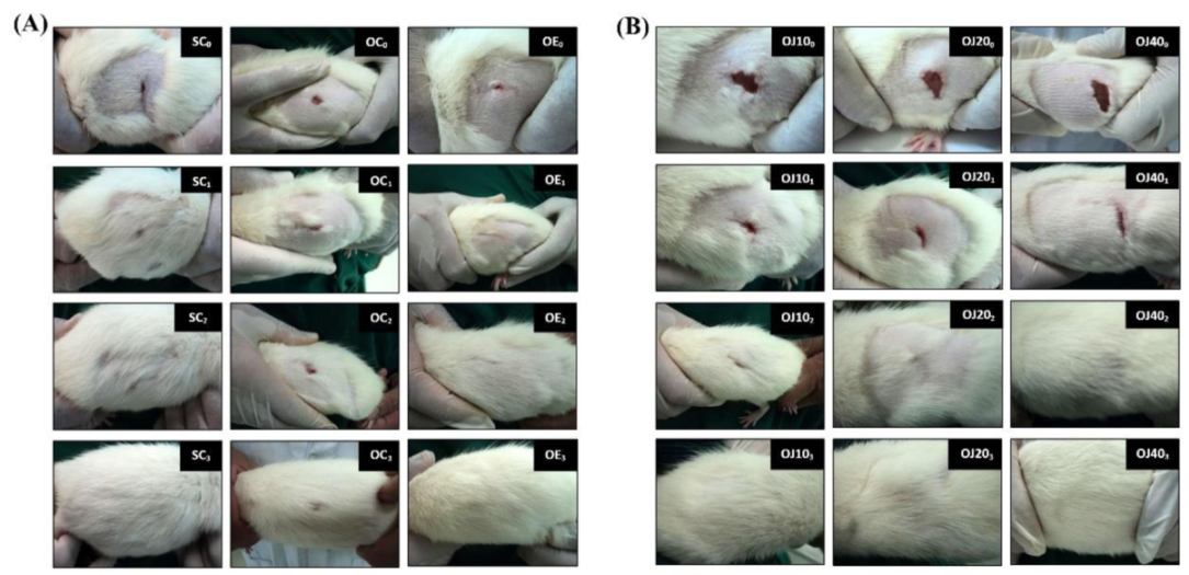 Applsci 12 01584 g011 Applsci 12 01584 g011