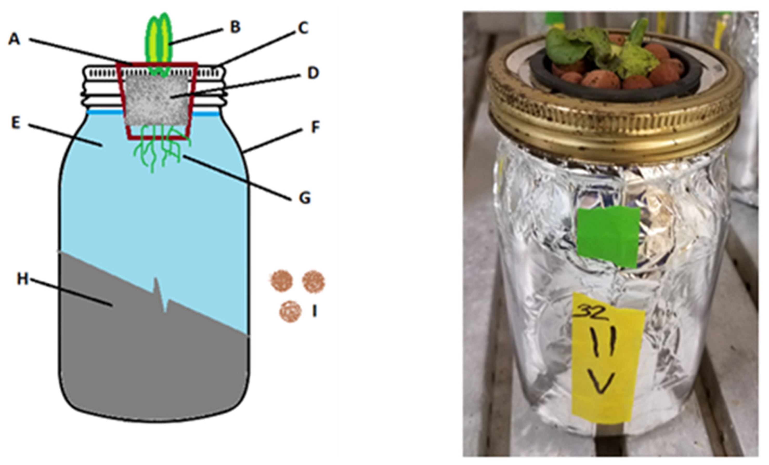 Applsci 12 01585 g001 Applsci 12 01585 g001