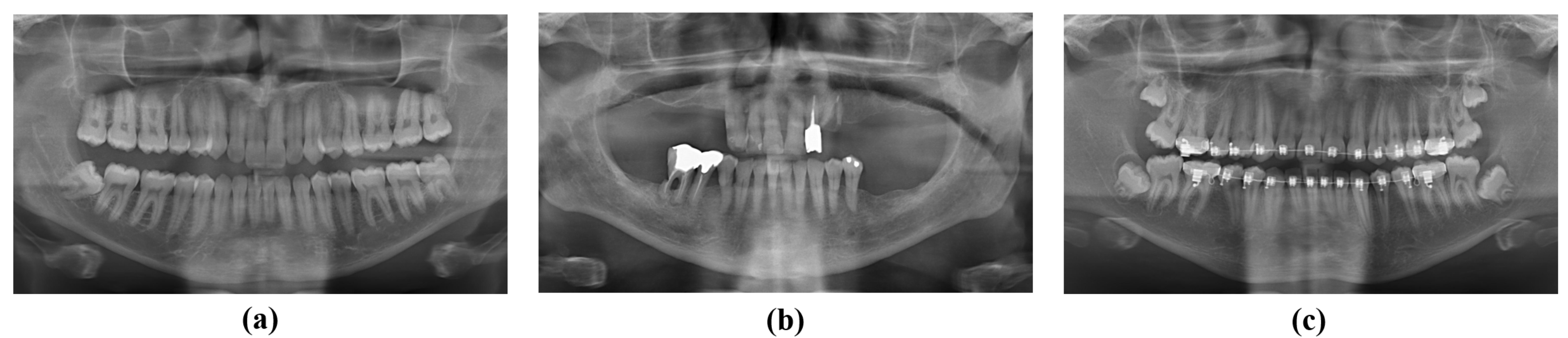 Applsci 12 01595 g001