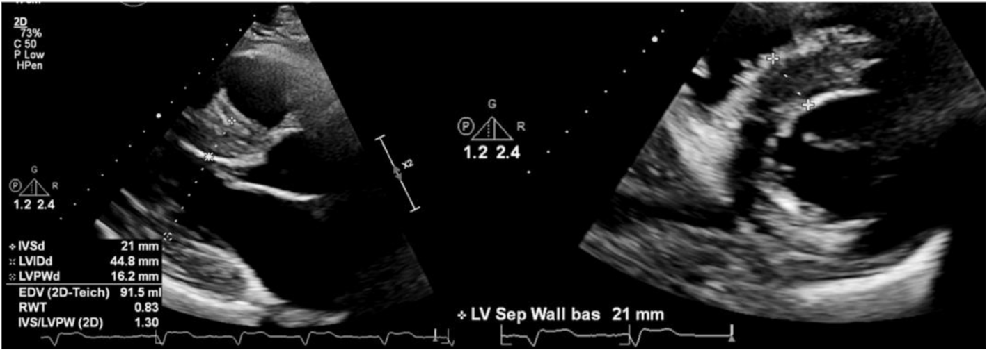 Applsci 12 01605 g001